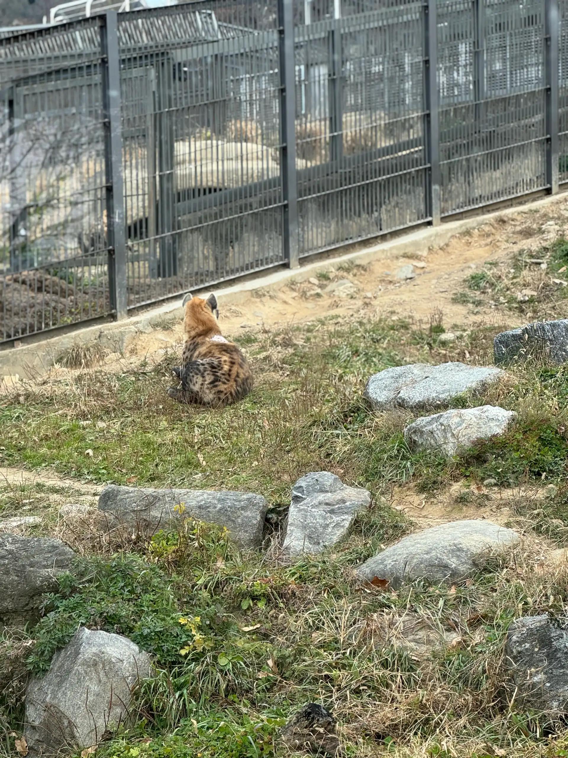 크루톡 이미지 3