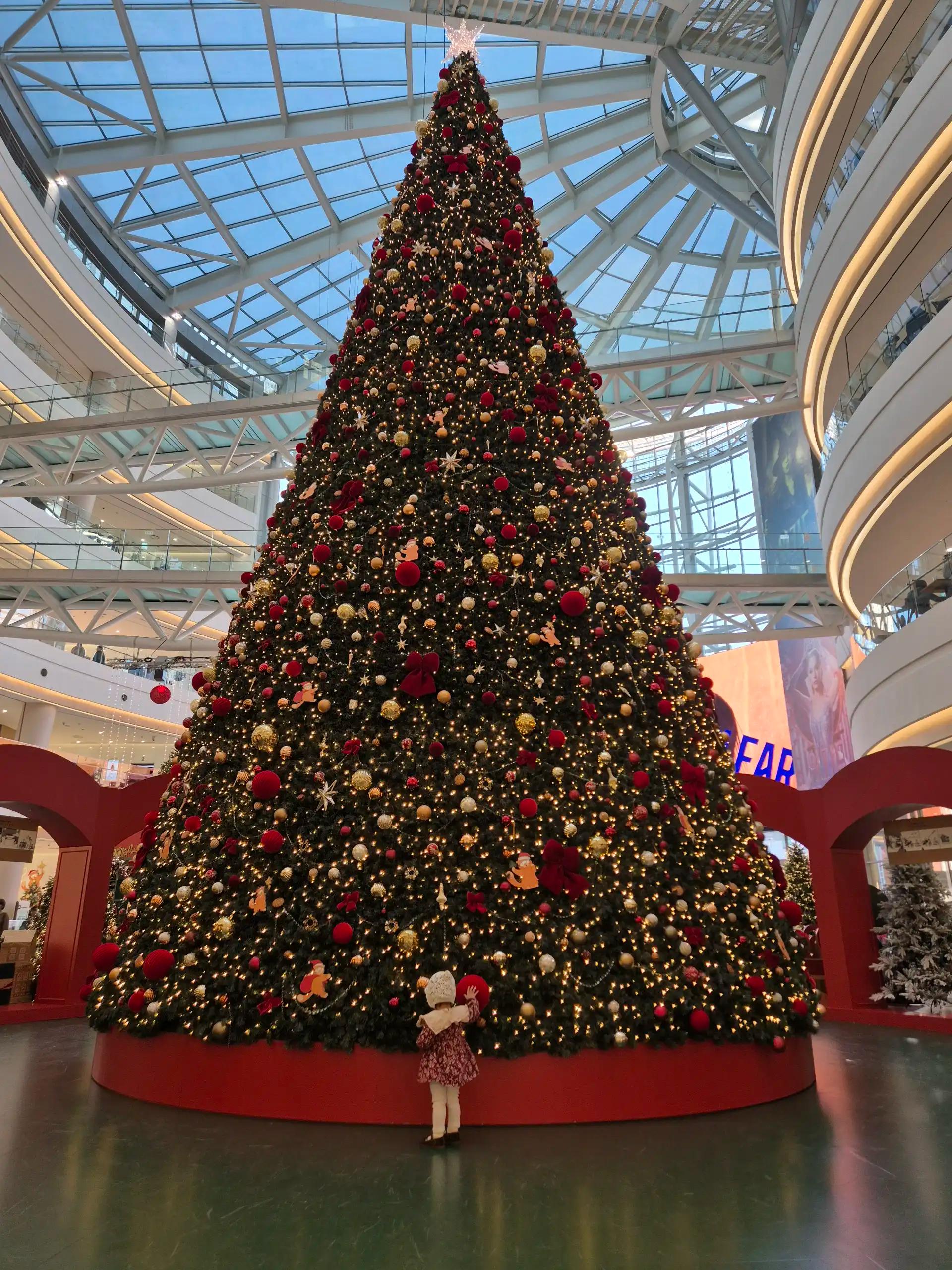 크루톡 이미지 2