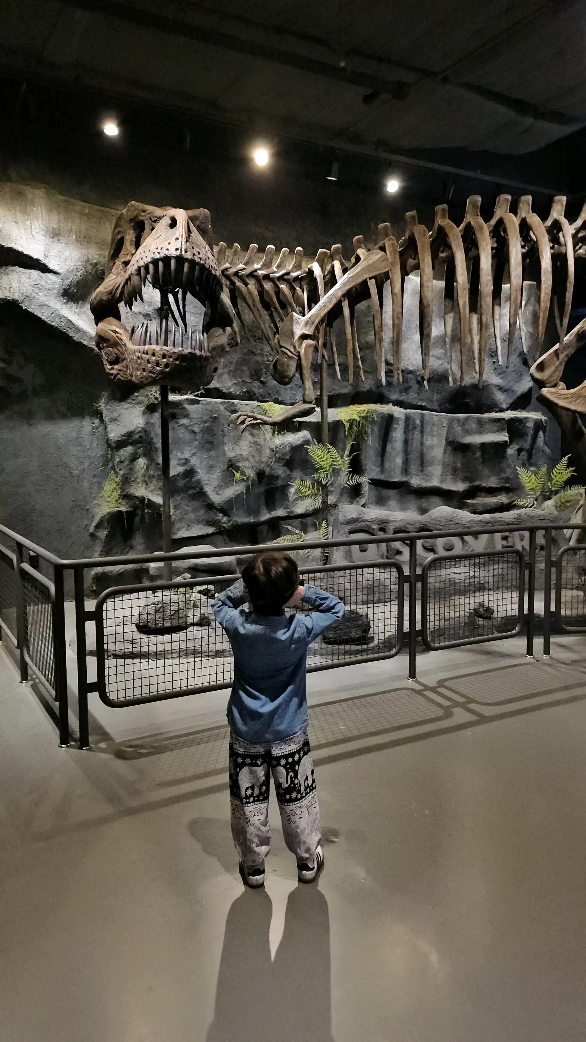 크루톡 이미지 2