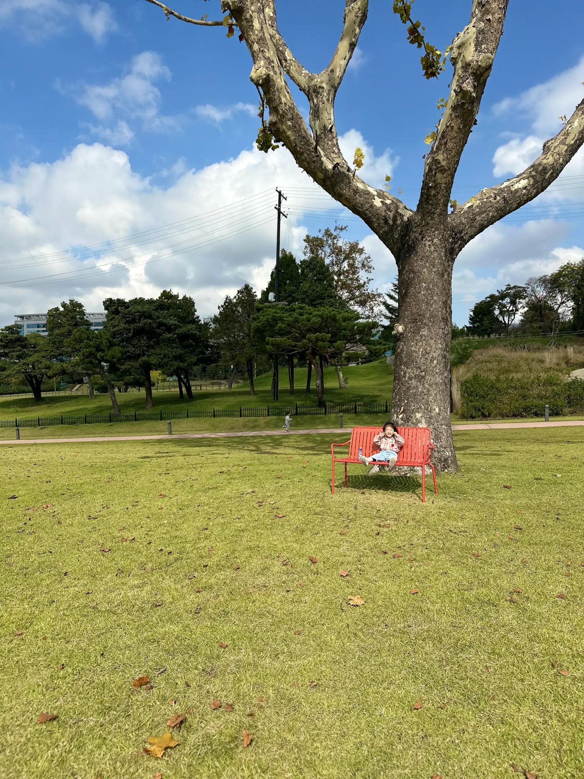 크루톡 이미지 3