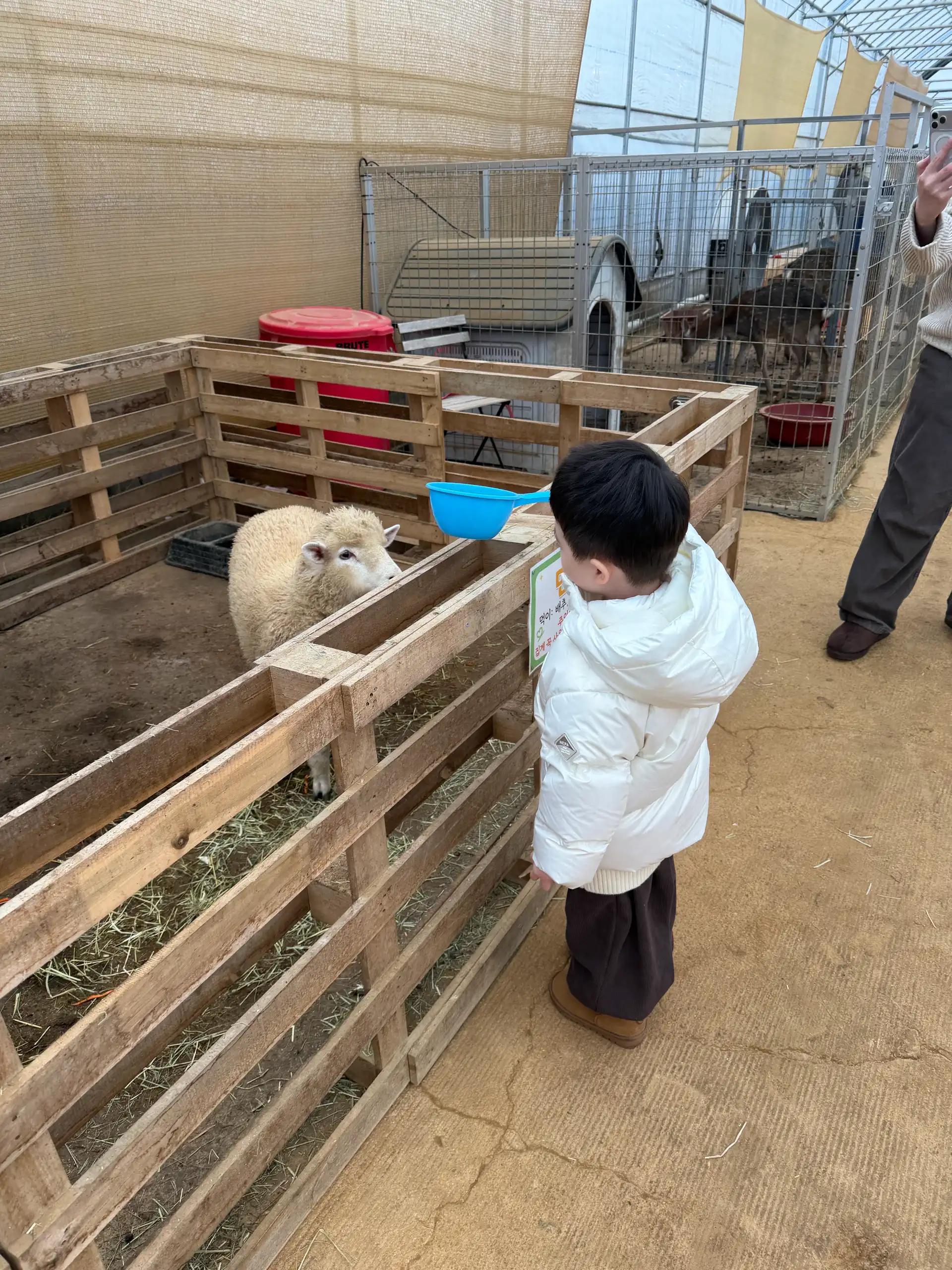 크루톡 이미지 2