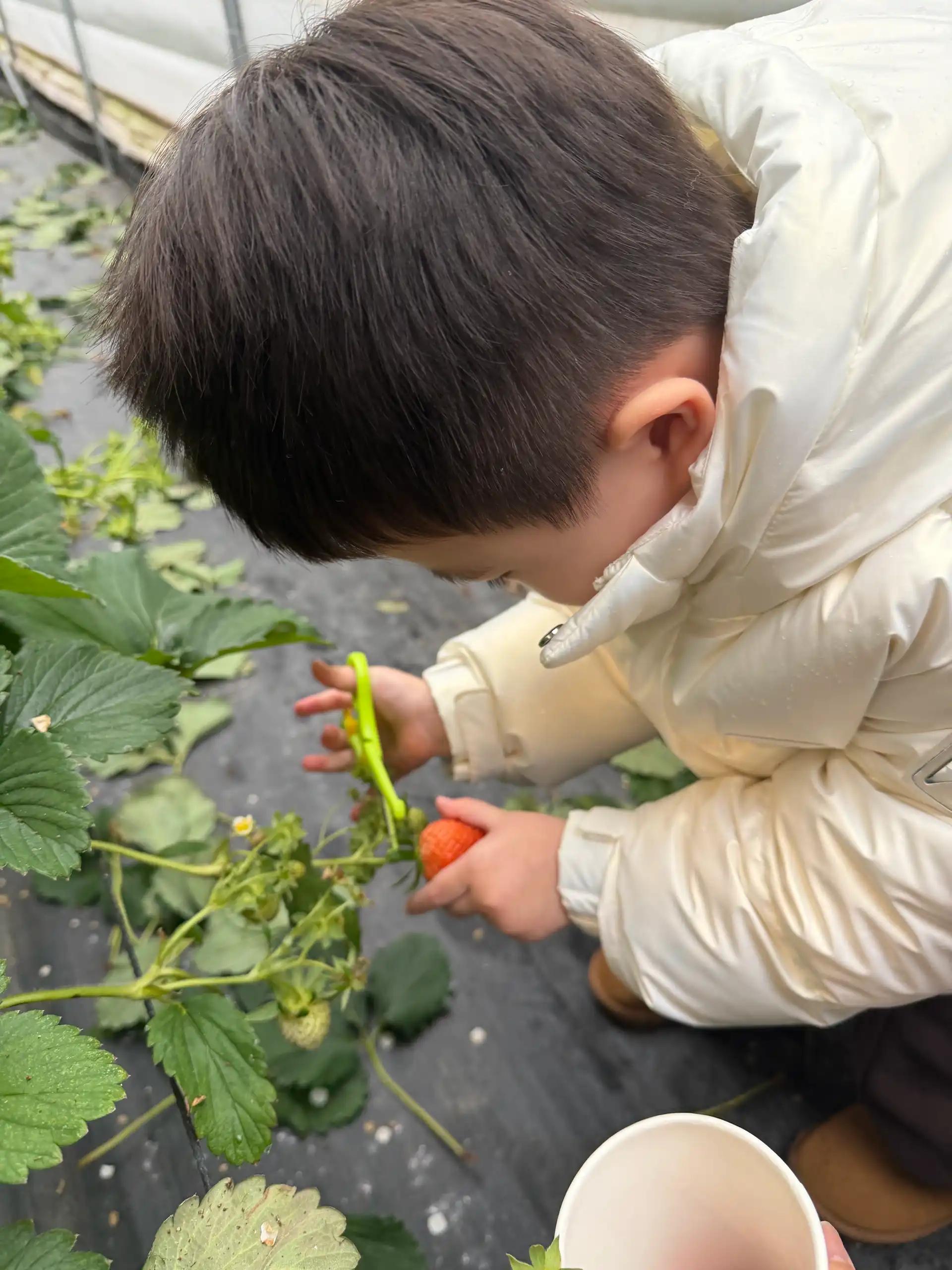 크루톡 이미지 3