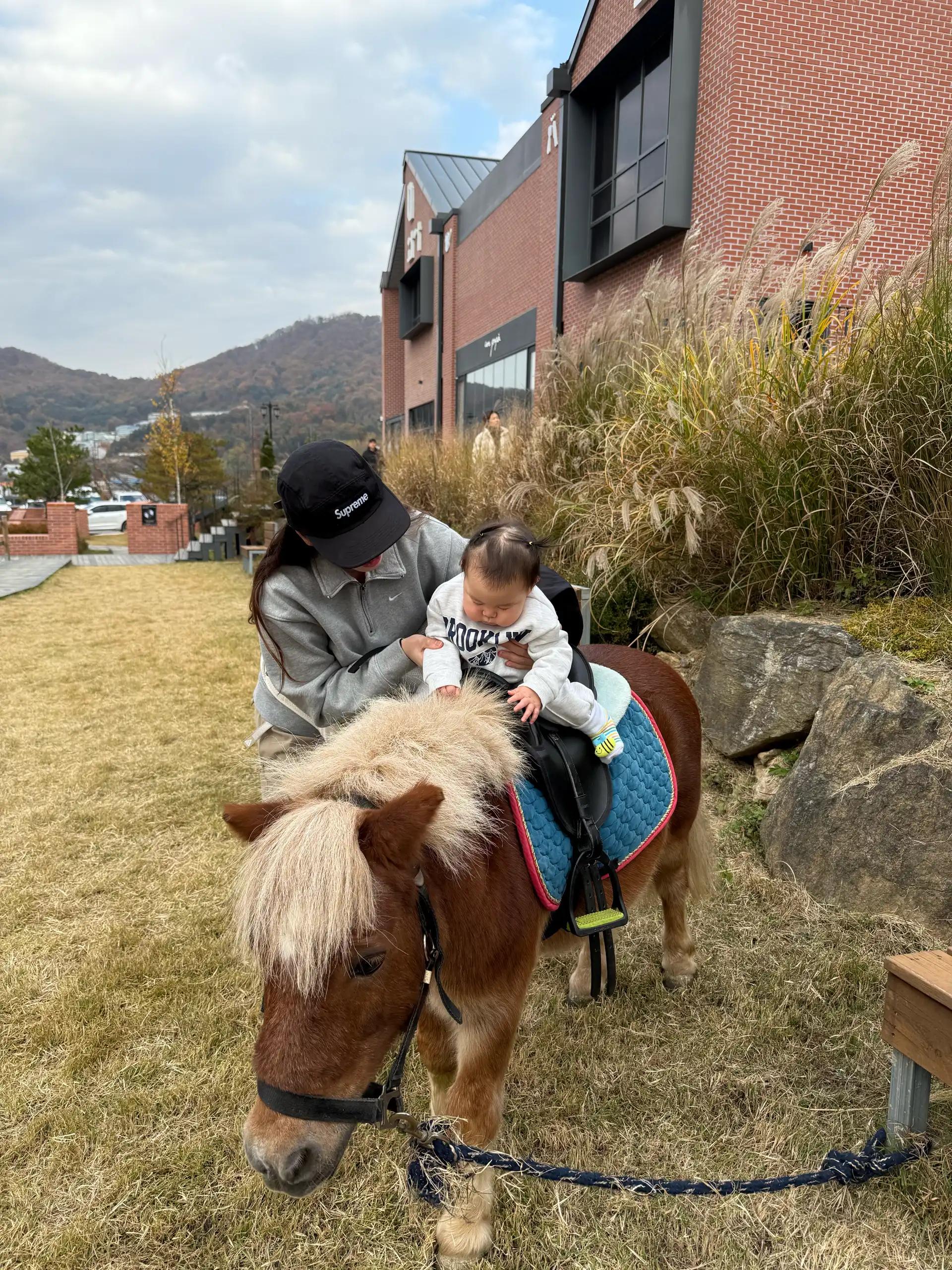 크루톡 이미지 2