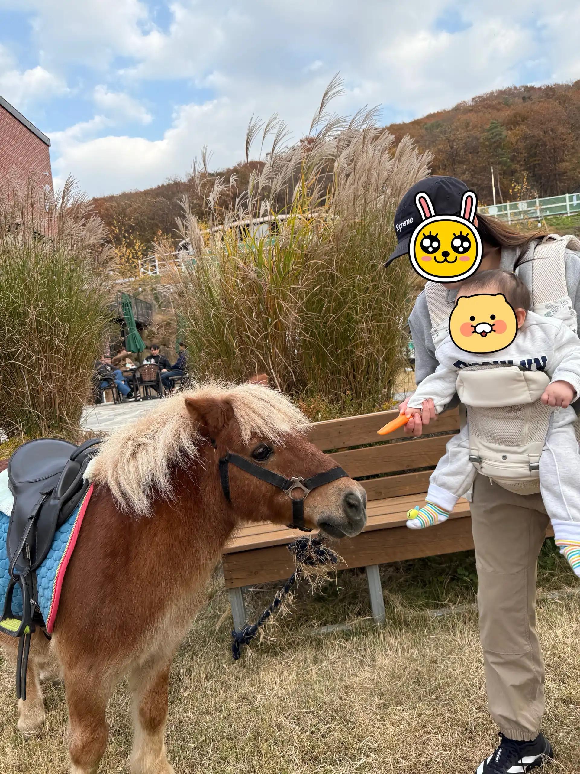 크루톡 이미지 3