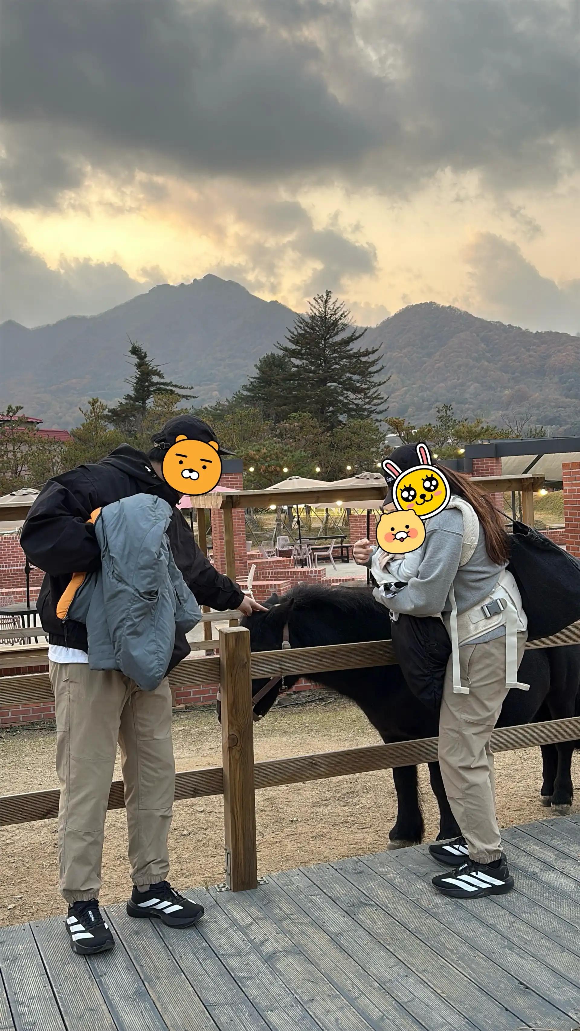 크루톡 이미지 4