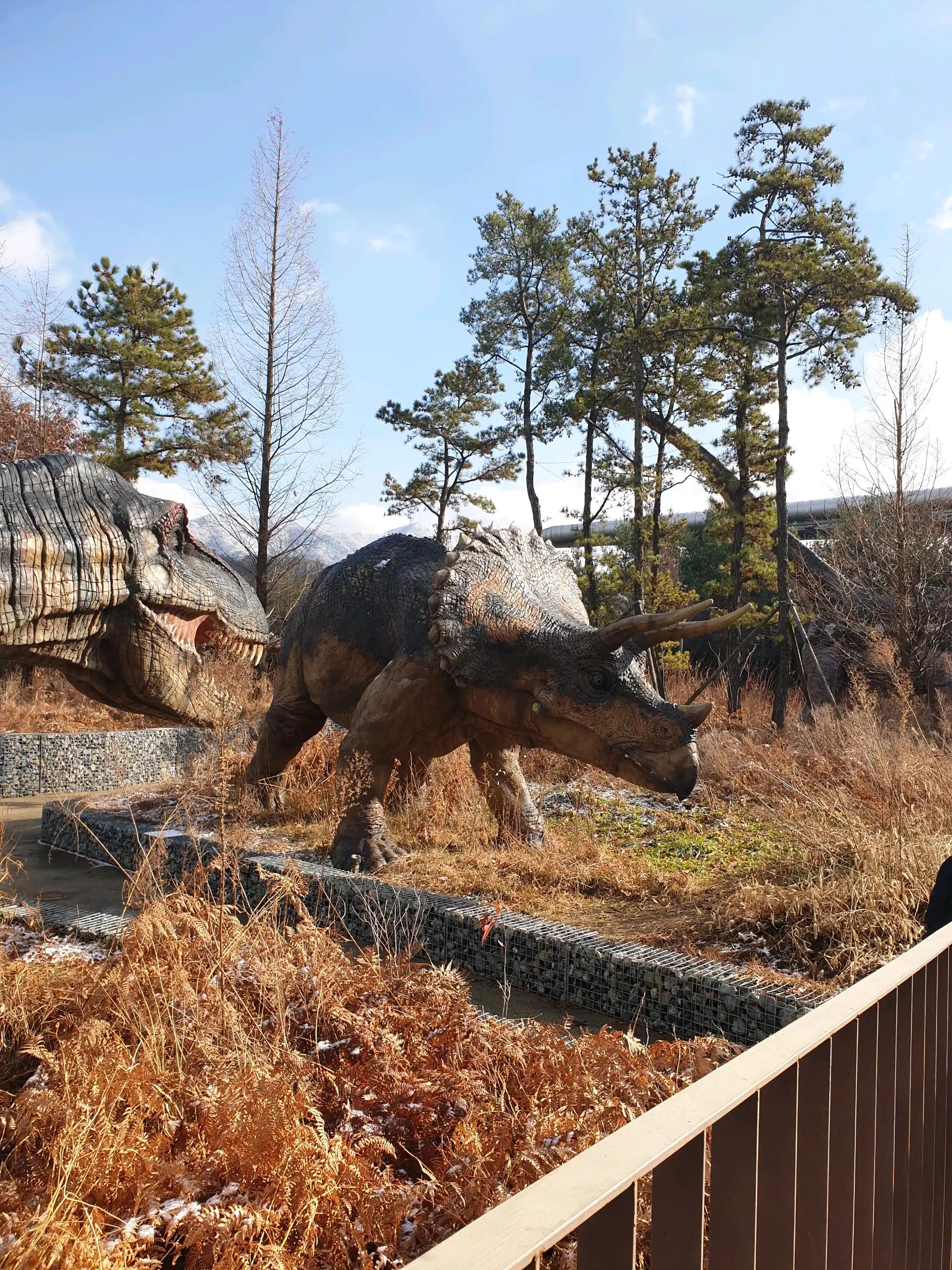 크루톡 이미지 4