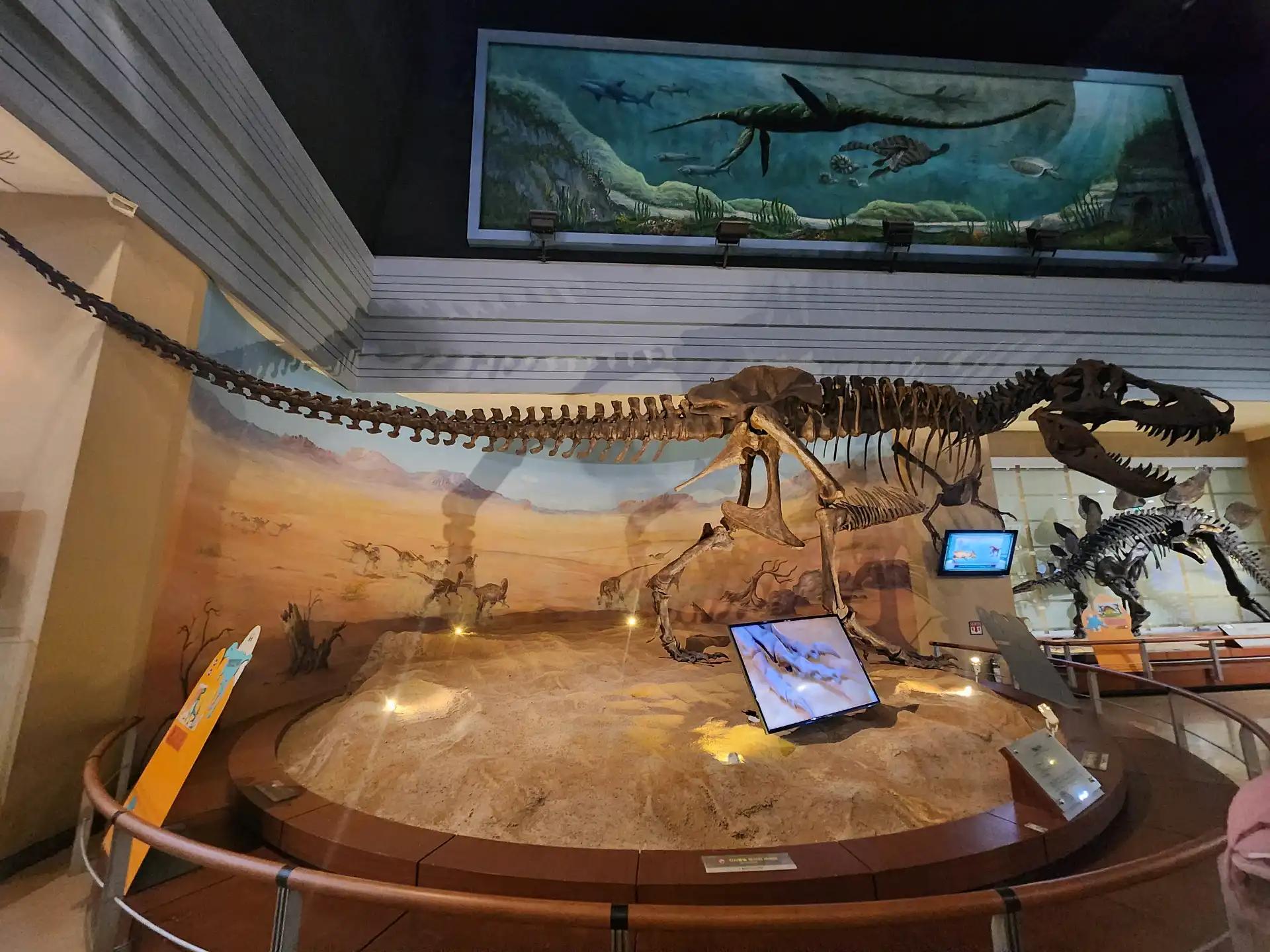 크루톡 이미지 3