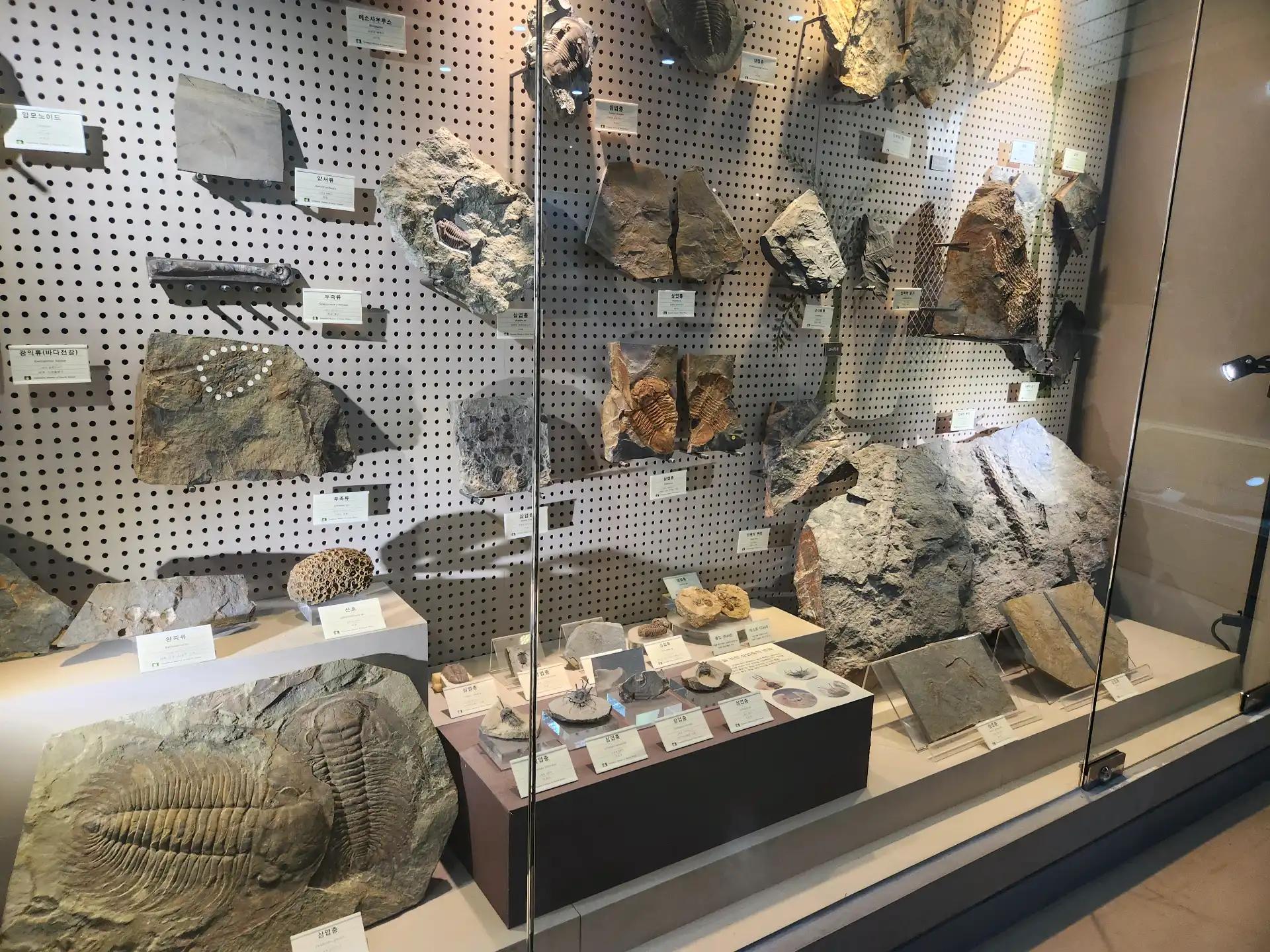 크루톡 이미지 4