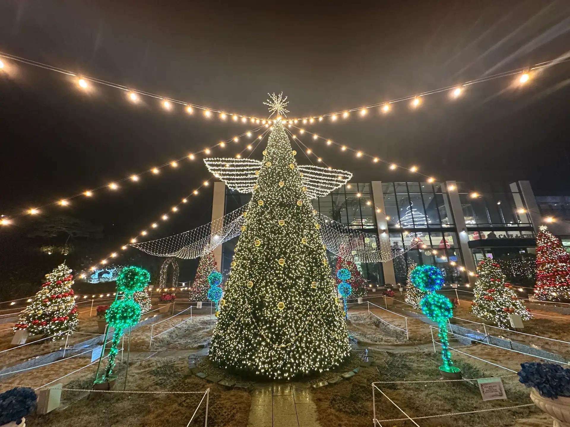 크루톡 이미지 2