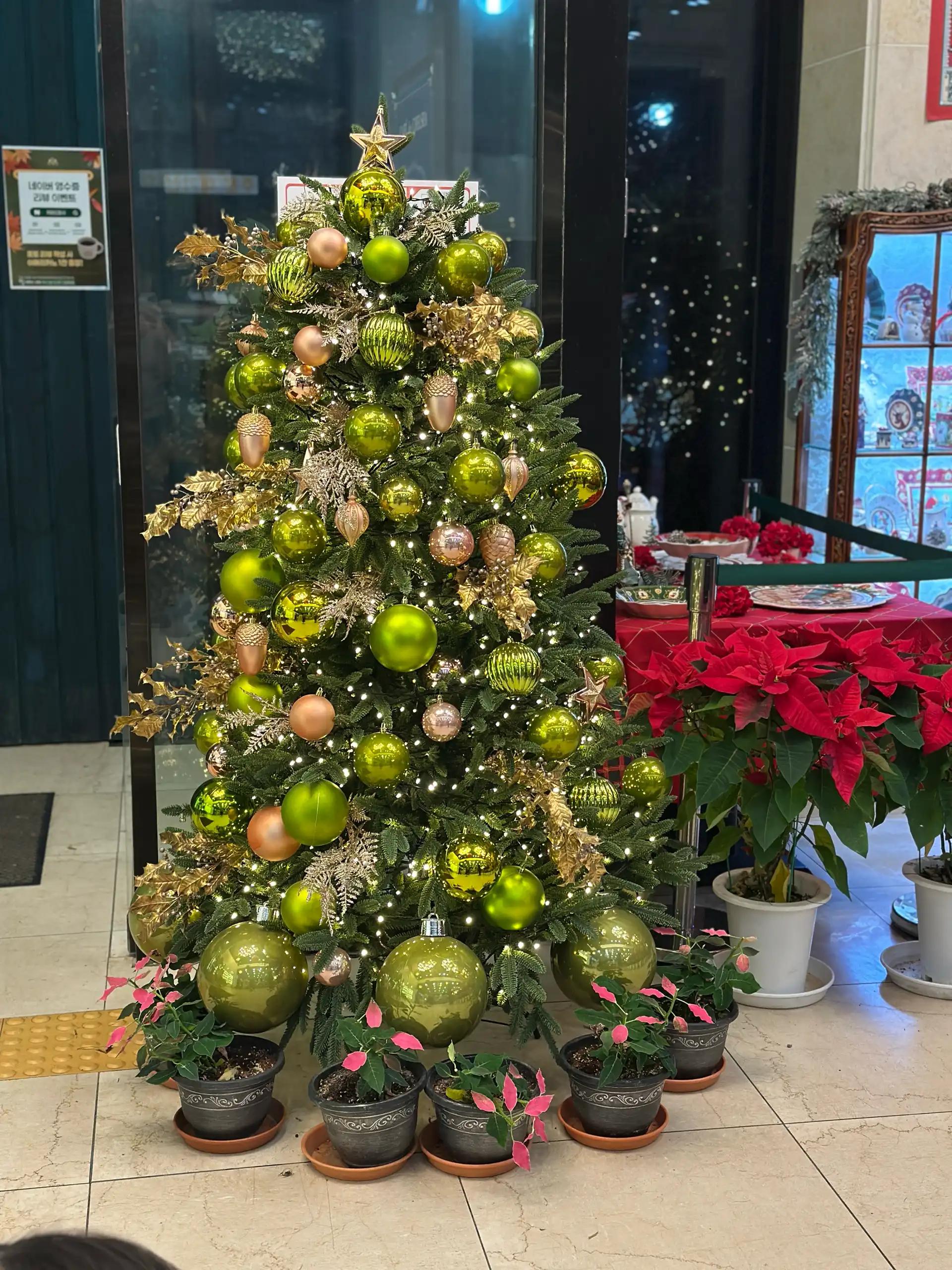 크루톡 이미지 4