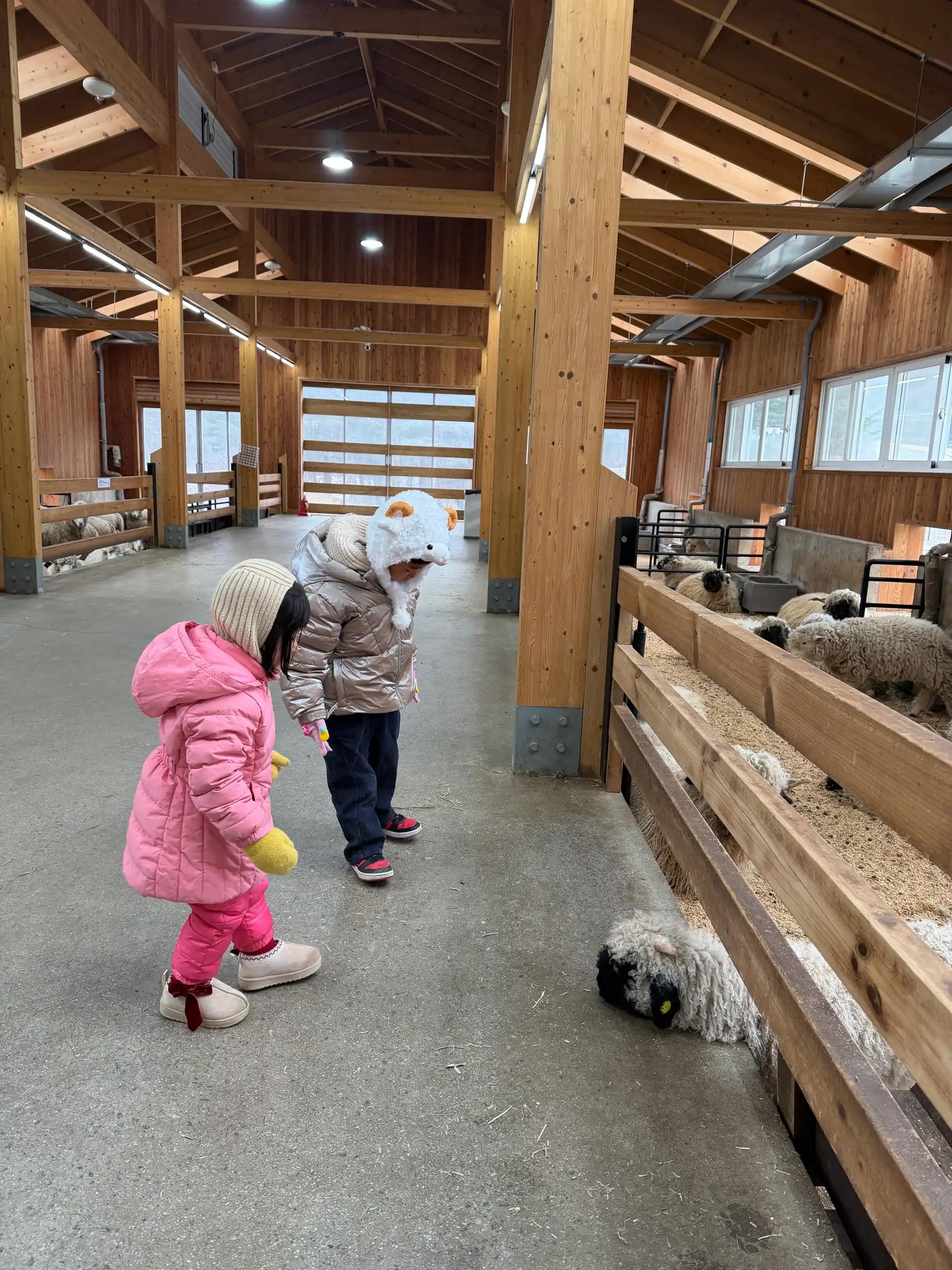 크루톡 이미지 6