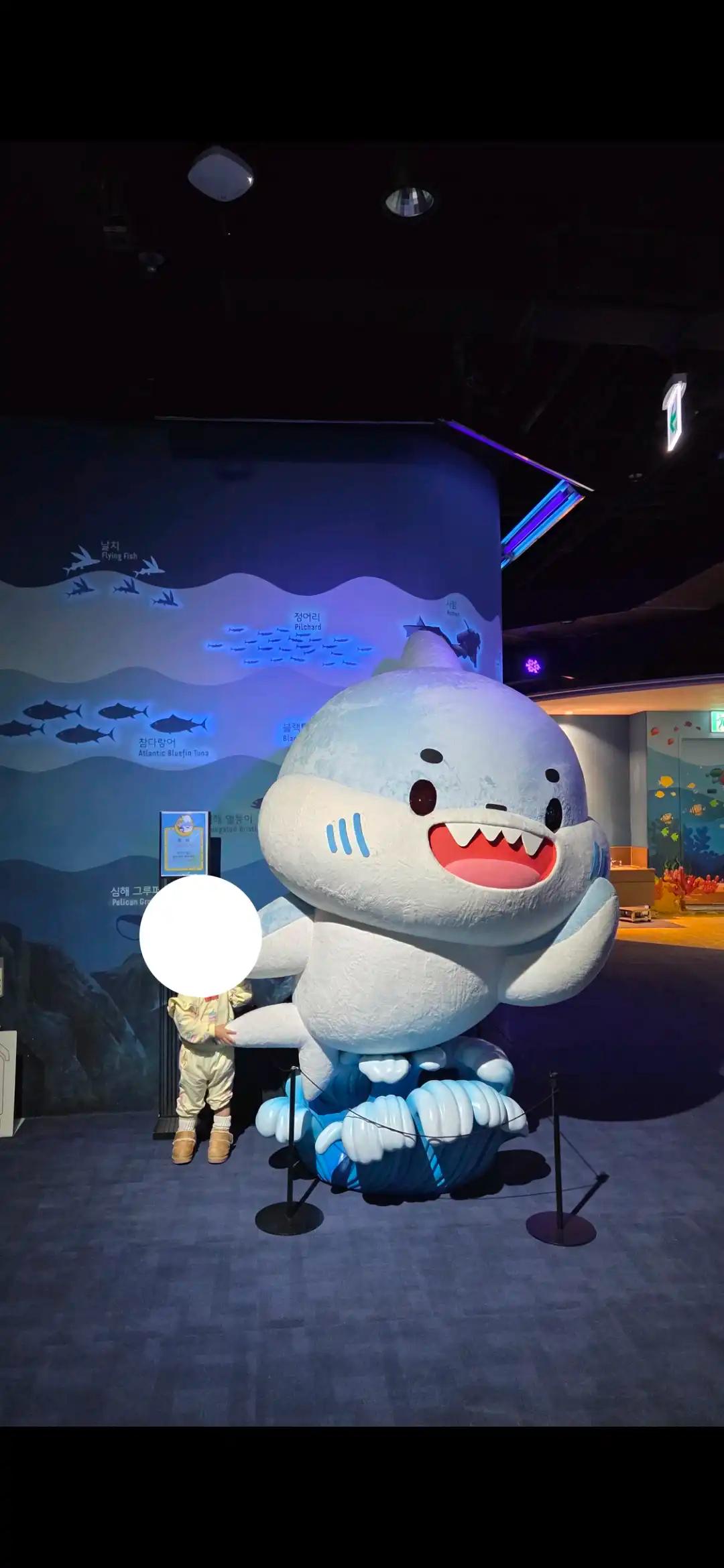 크루톡 이미지 3