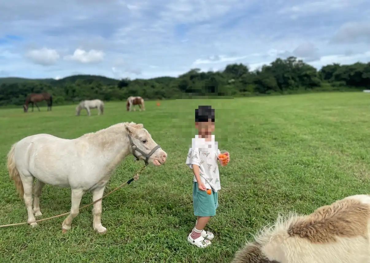 크루톡 이미지 4