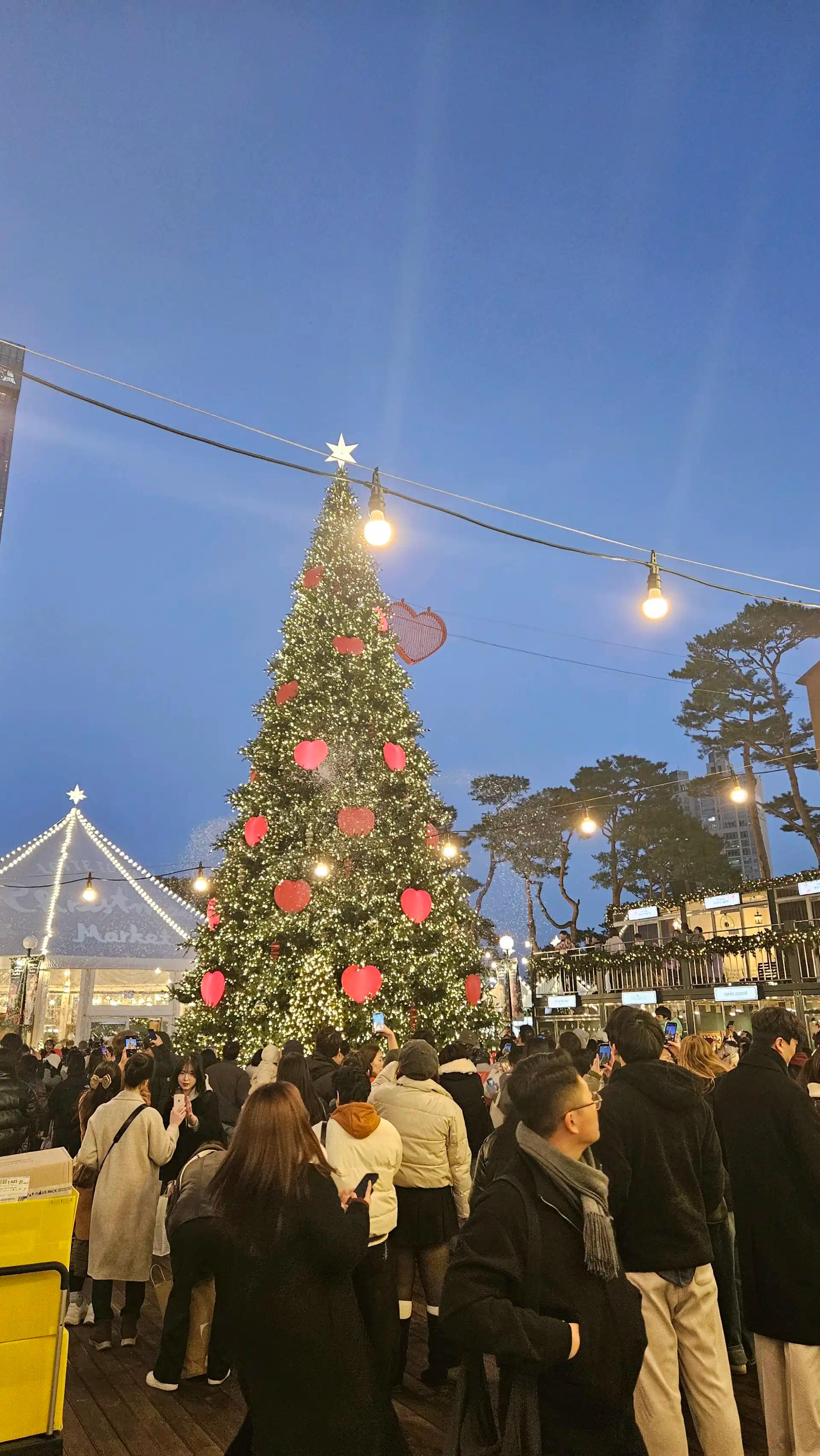 크루톡 이미지 3