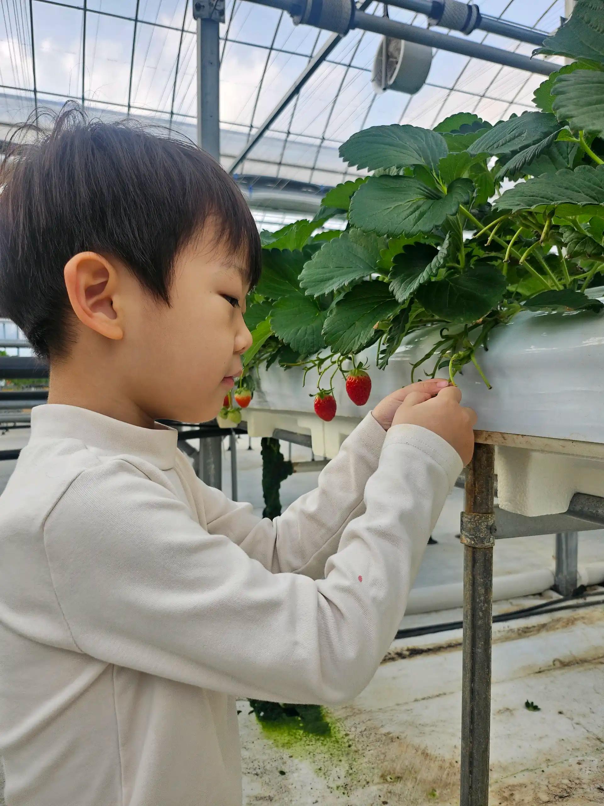 크루톡 이미지 2