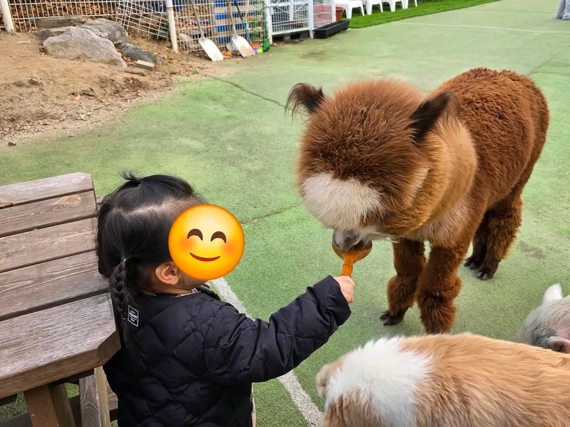 크루톡 이미지 2