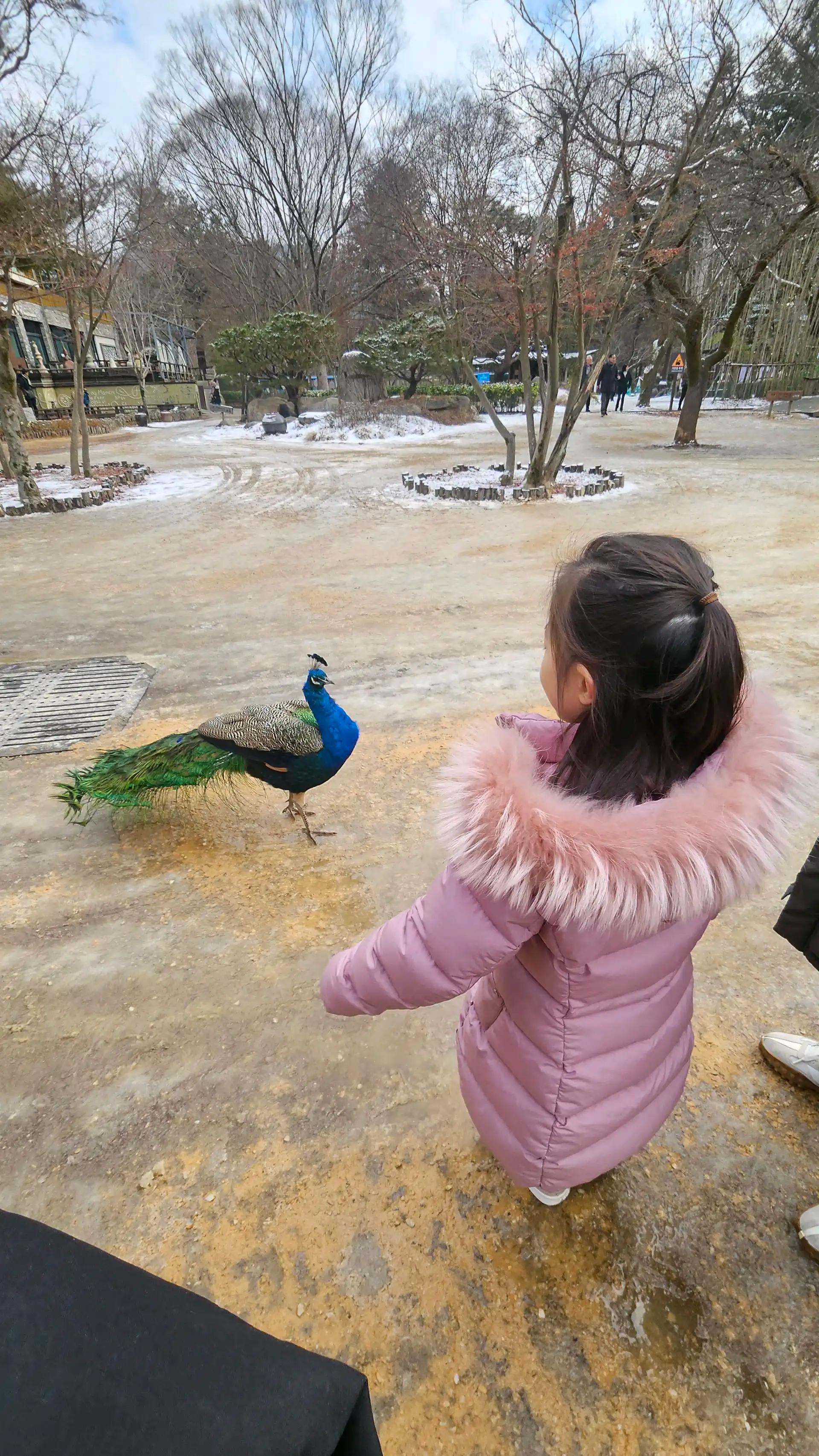 크루톡 이미지 3