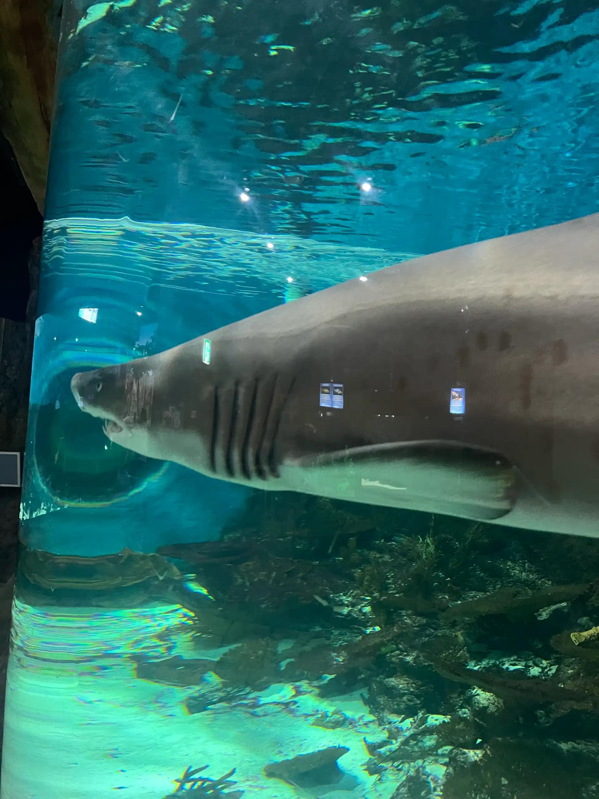 크루톡 이미지 2