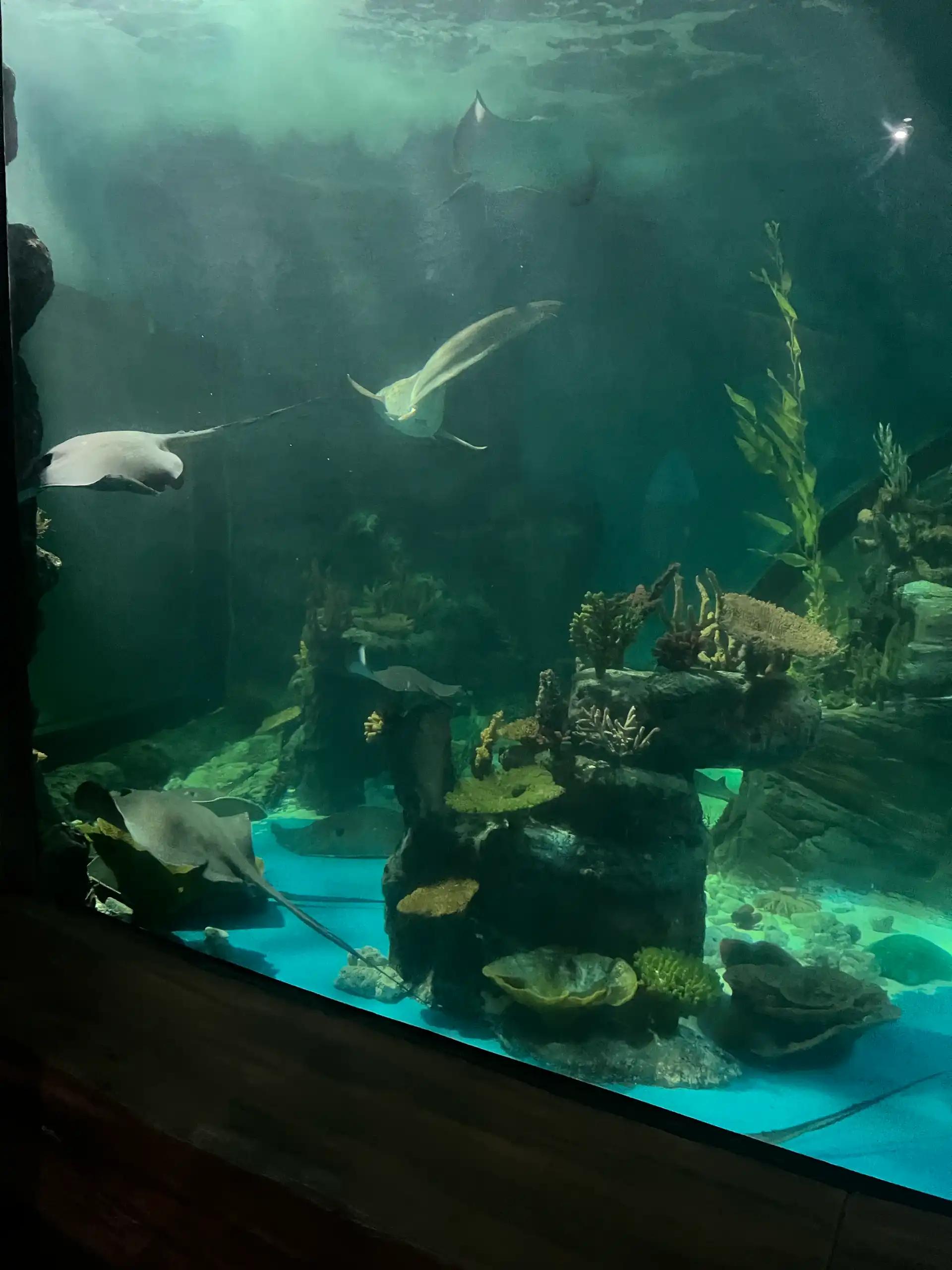 크루톡 이미지 3