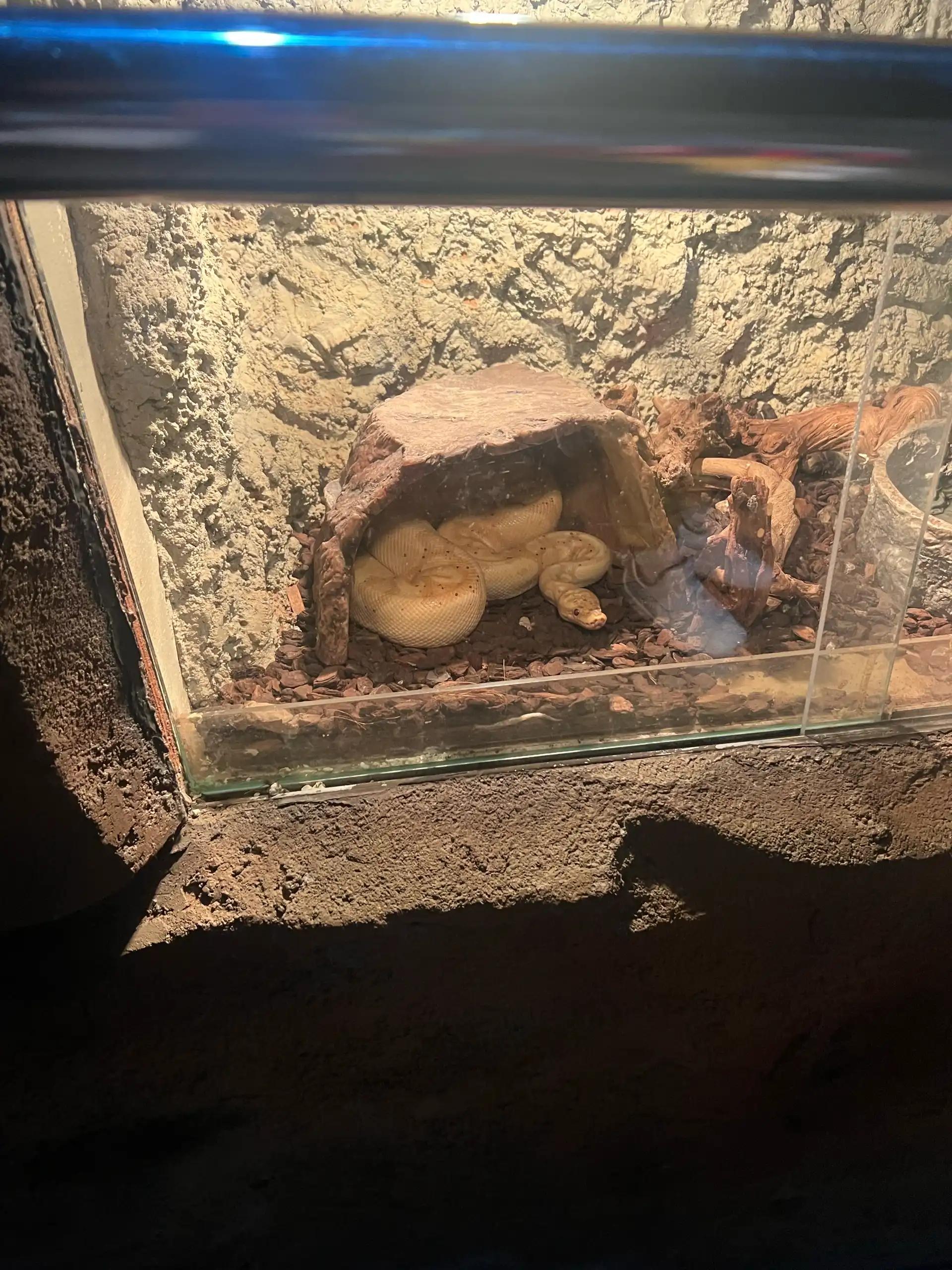 크루톡 이미지 4