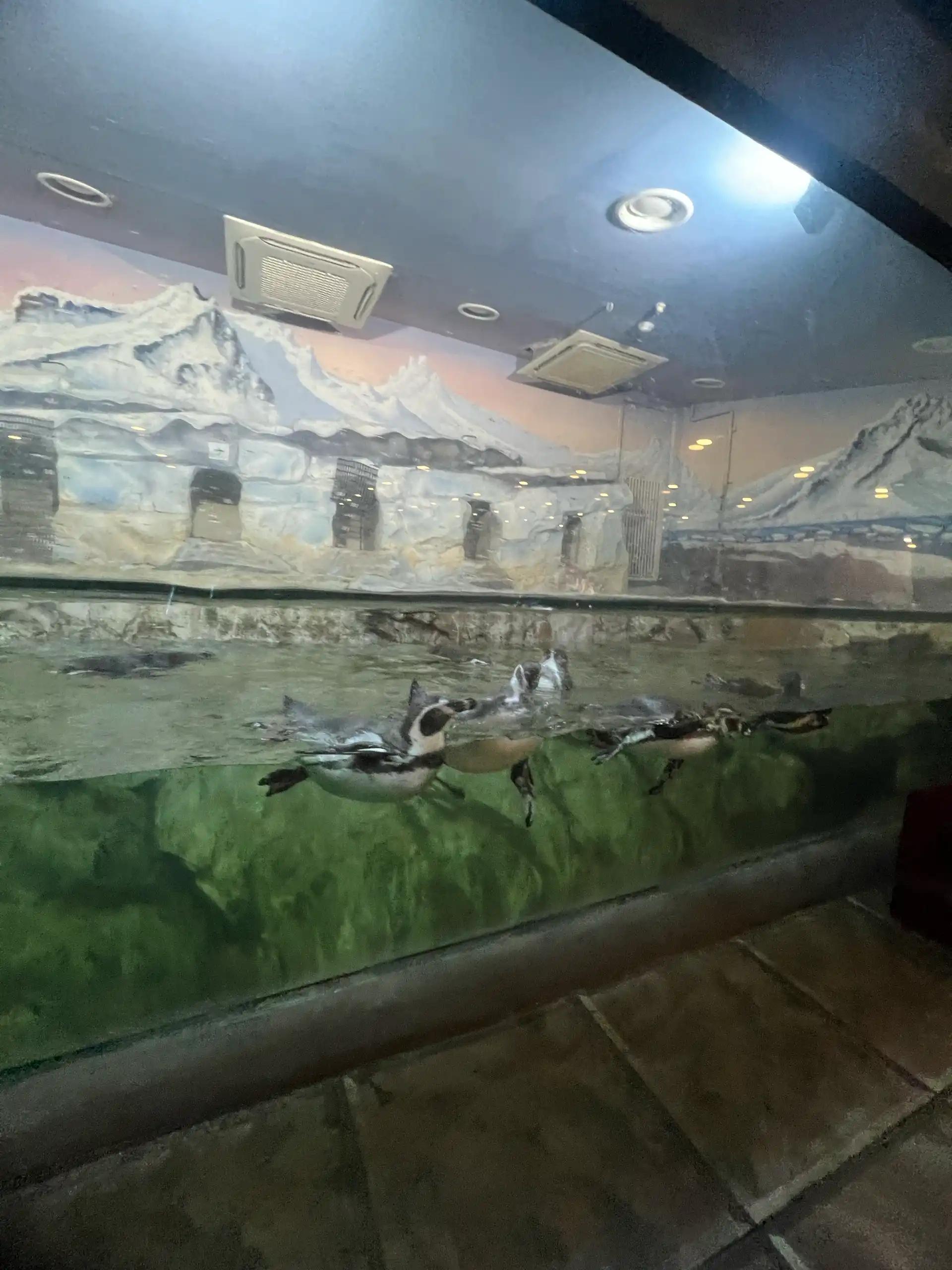 크루톡 이미지 5