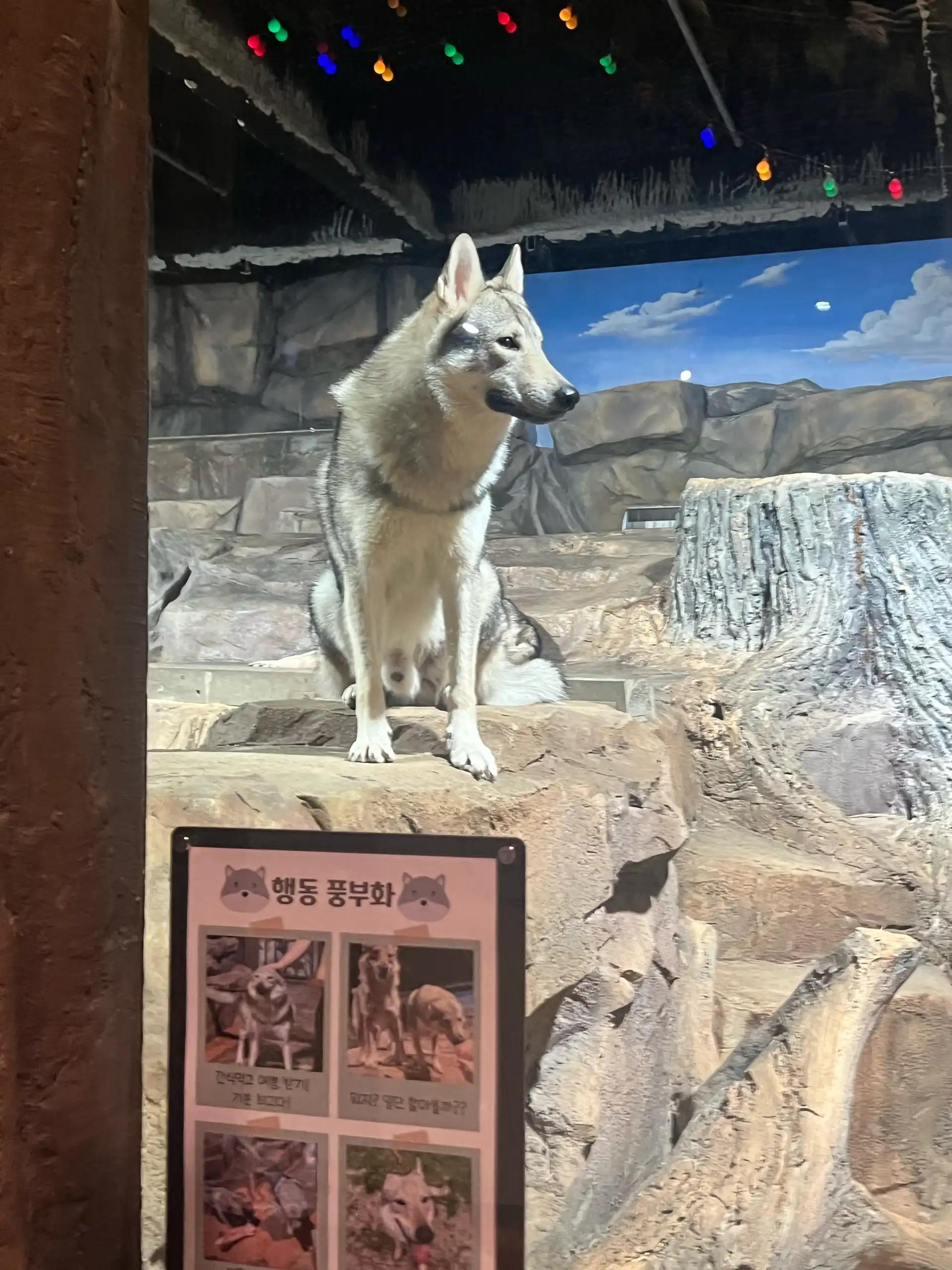 크루톡 이미지 6