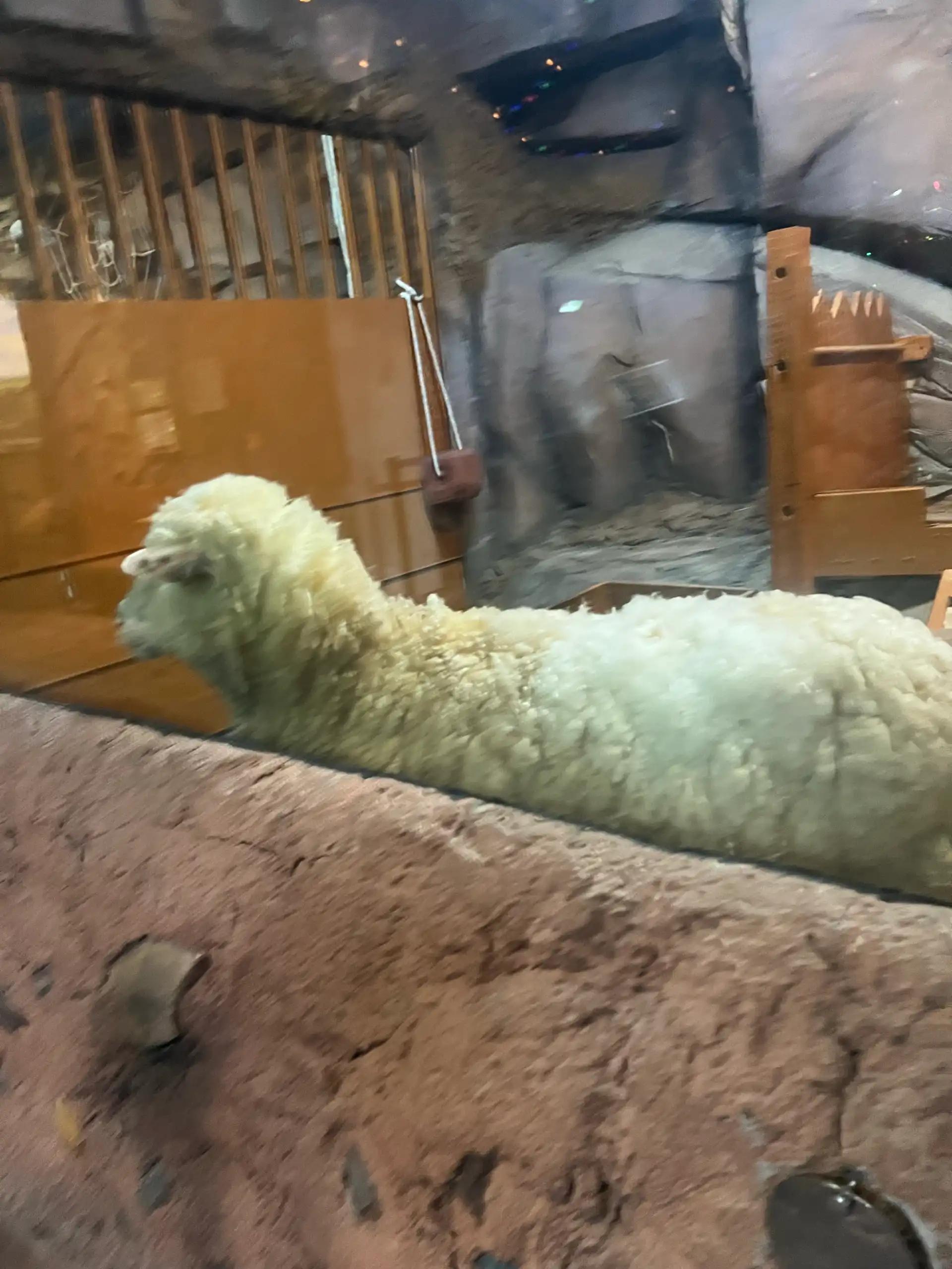 크루톡 이미지 7