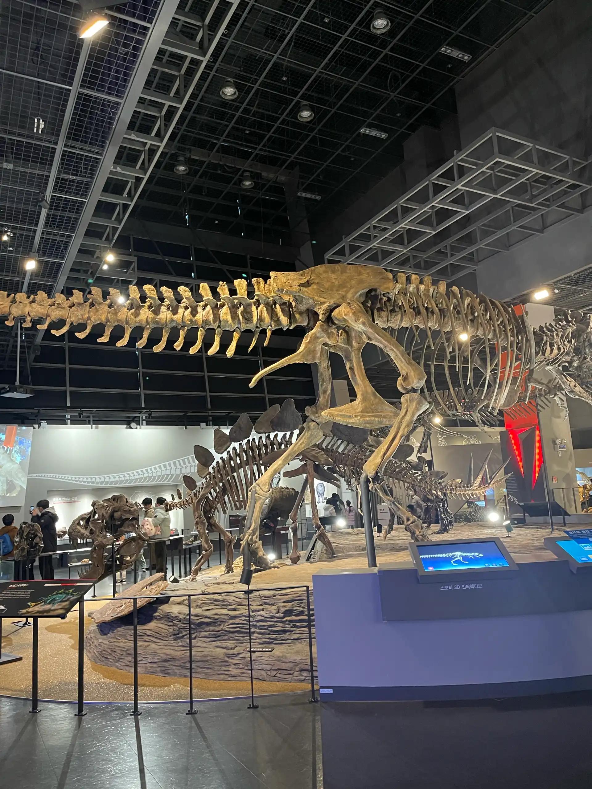 크루톡 이미지 4