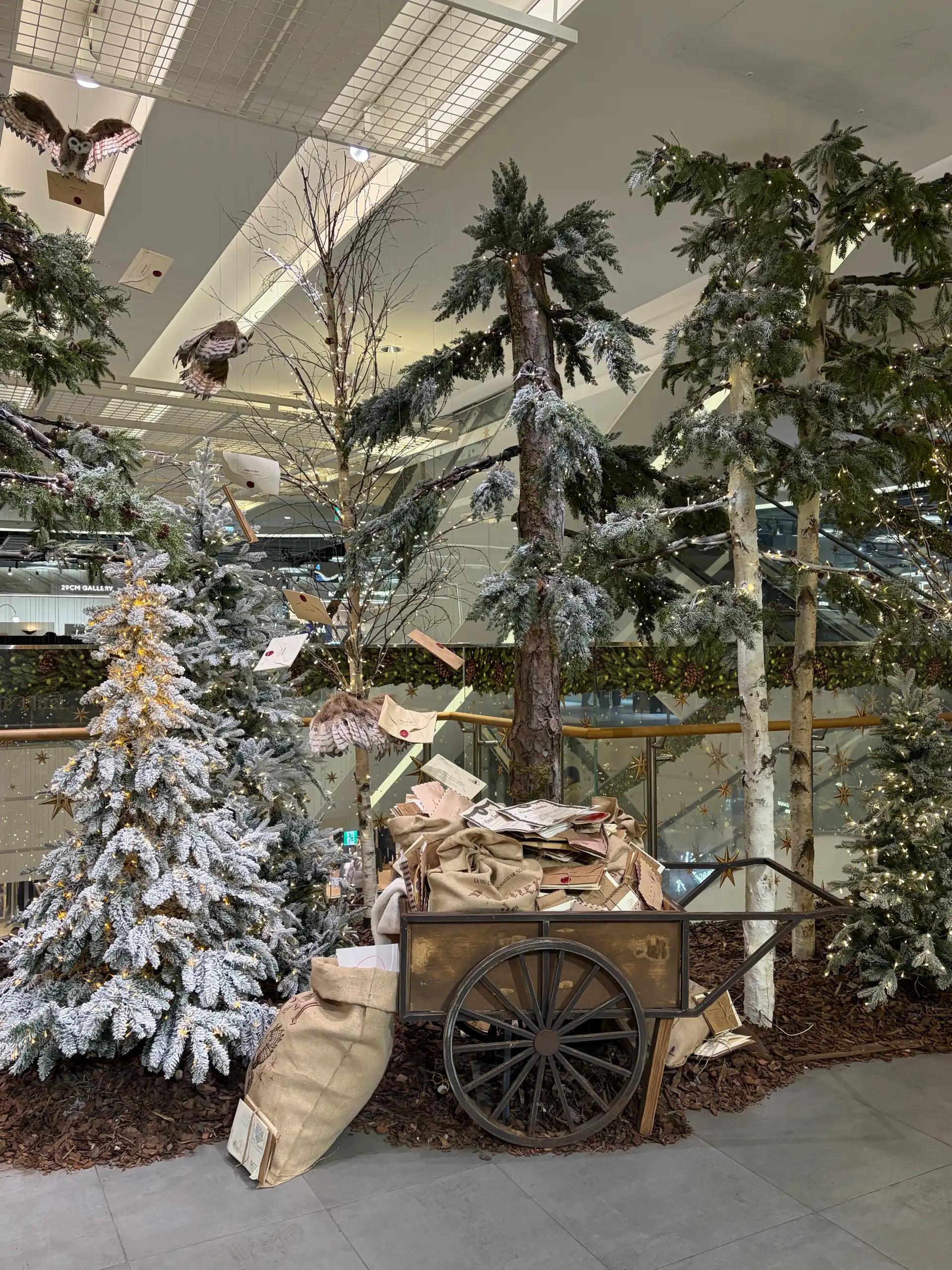 크루톡 이미지 5