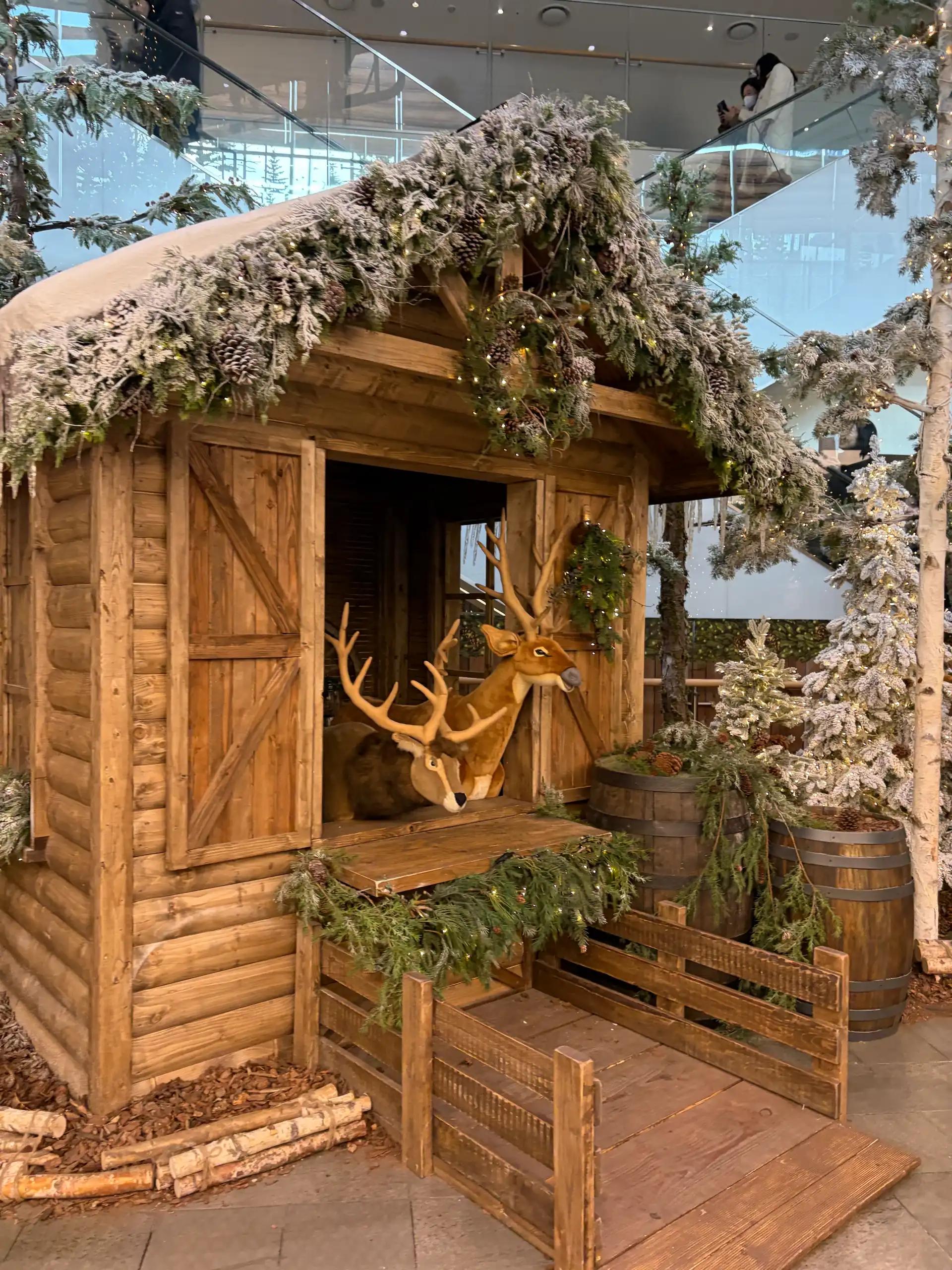 크루톡 이미지 7