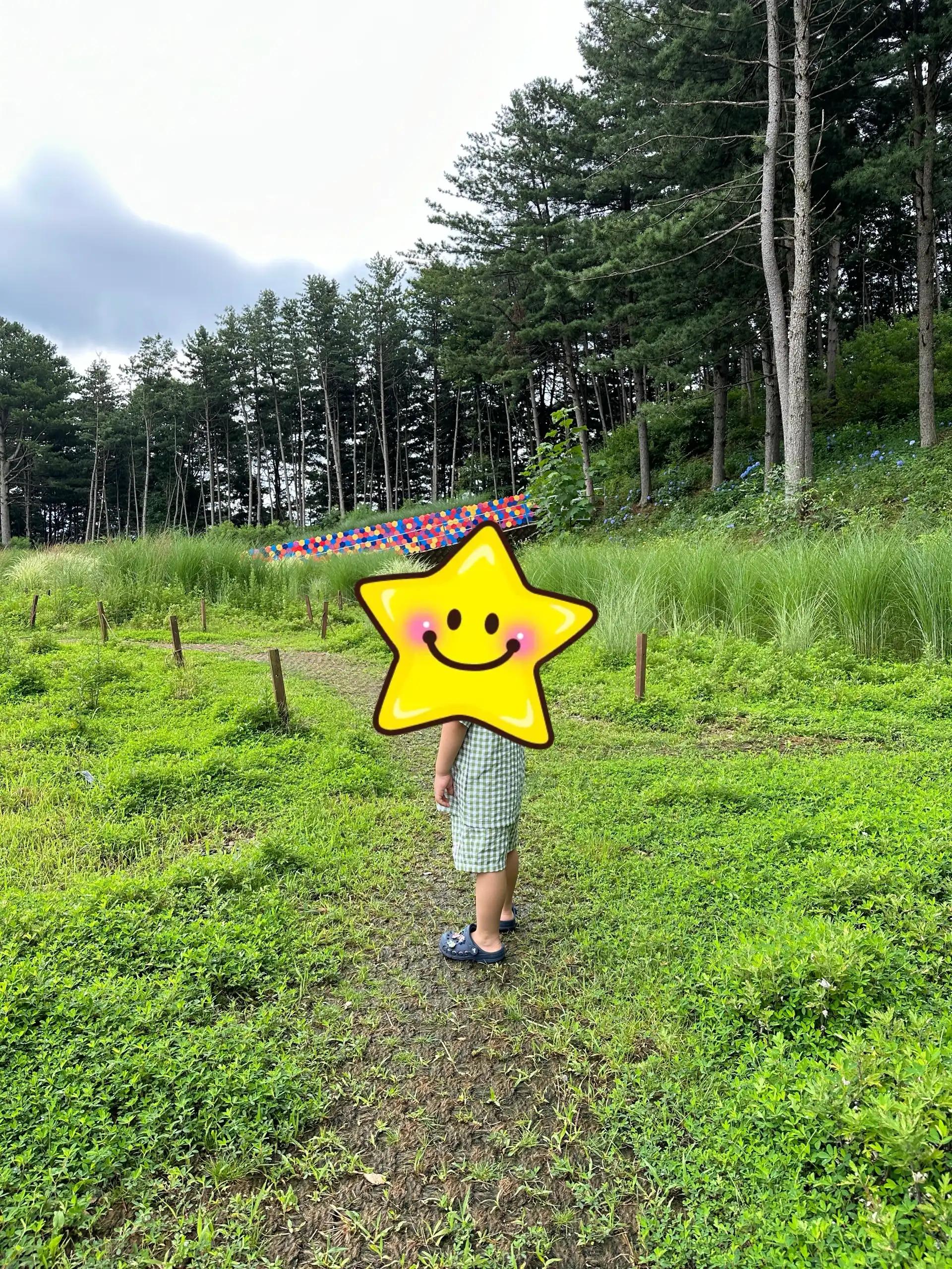 크루톡 이미지 1