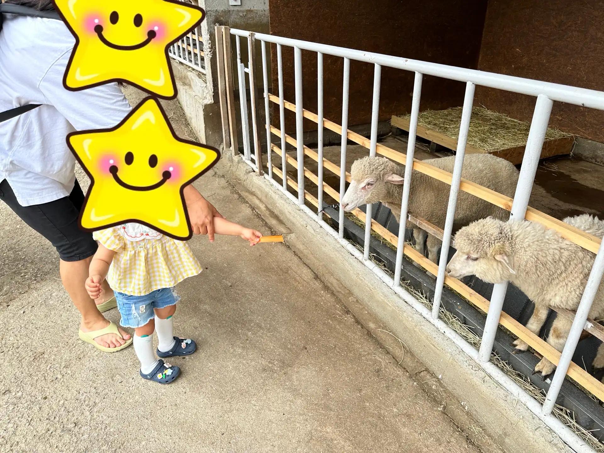 크루톡 이미지 3