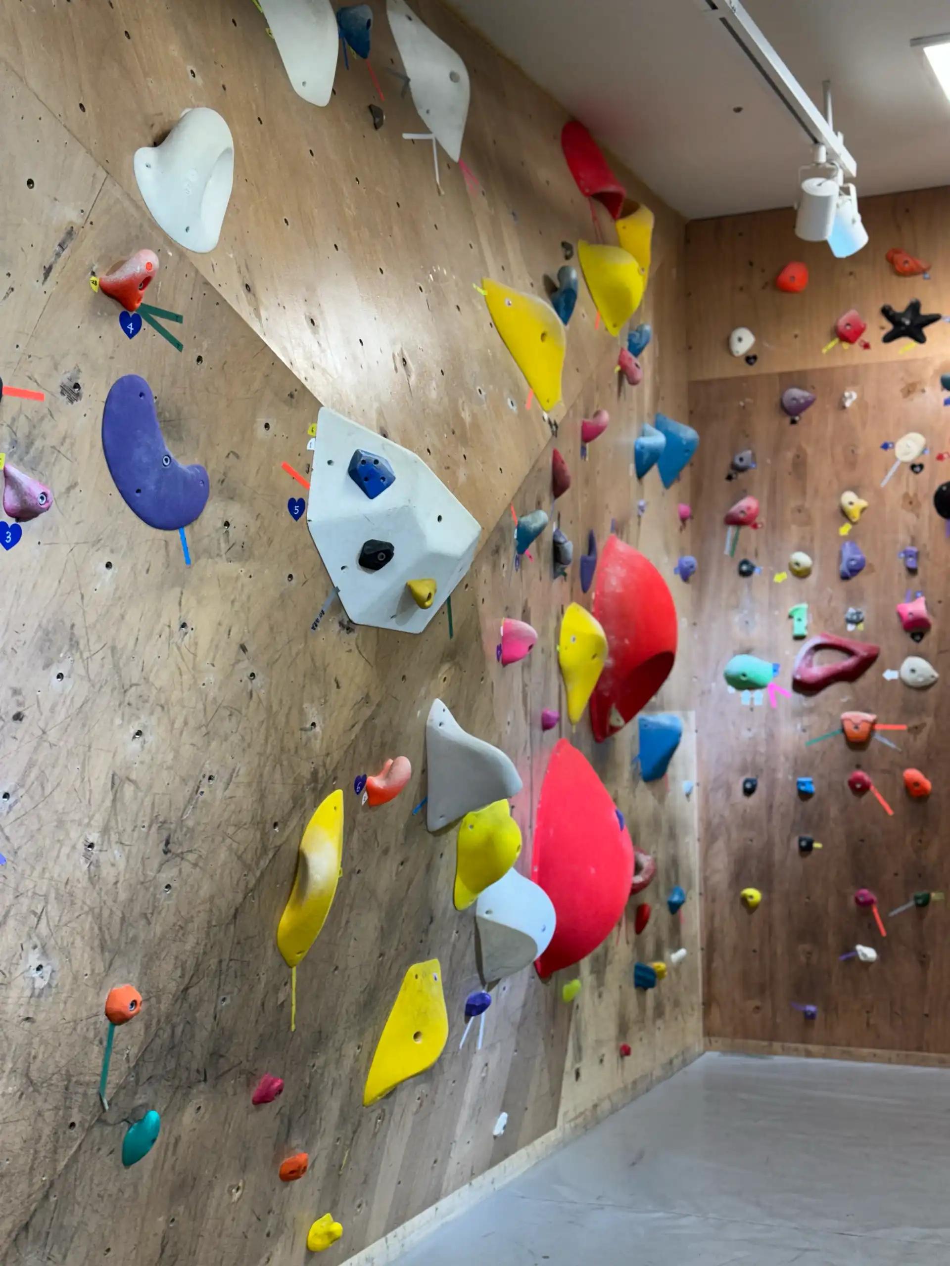 크루톡 이미지 3