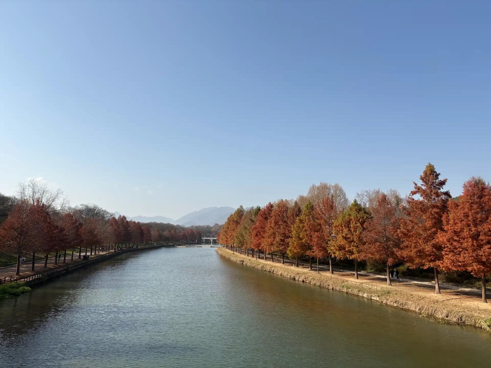 크루톡 이미지 3