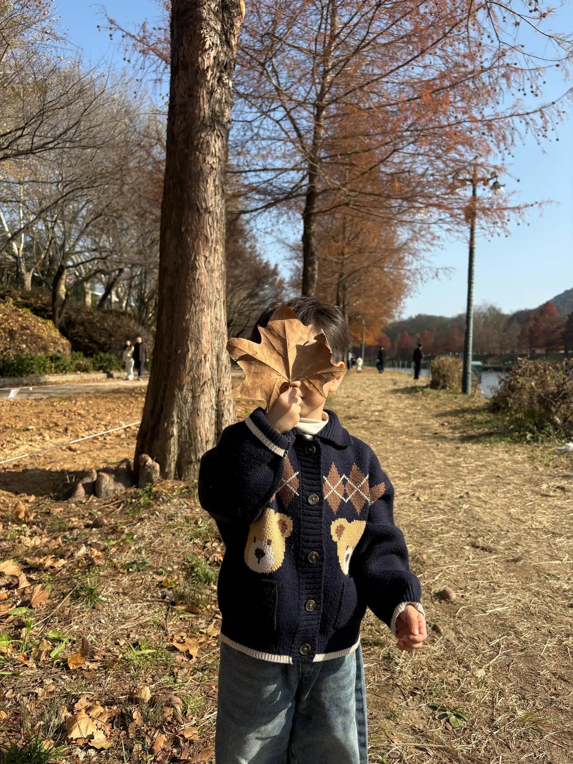 크루톡 이미지 5