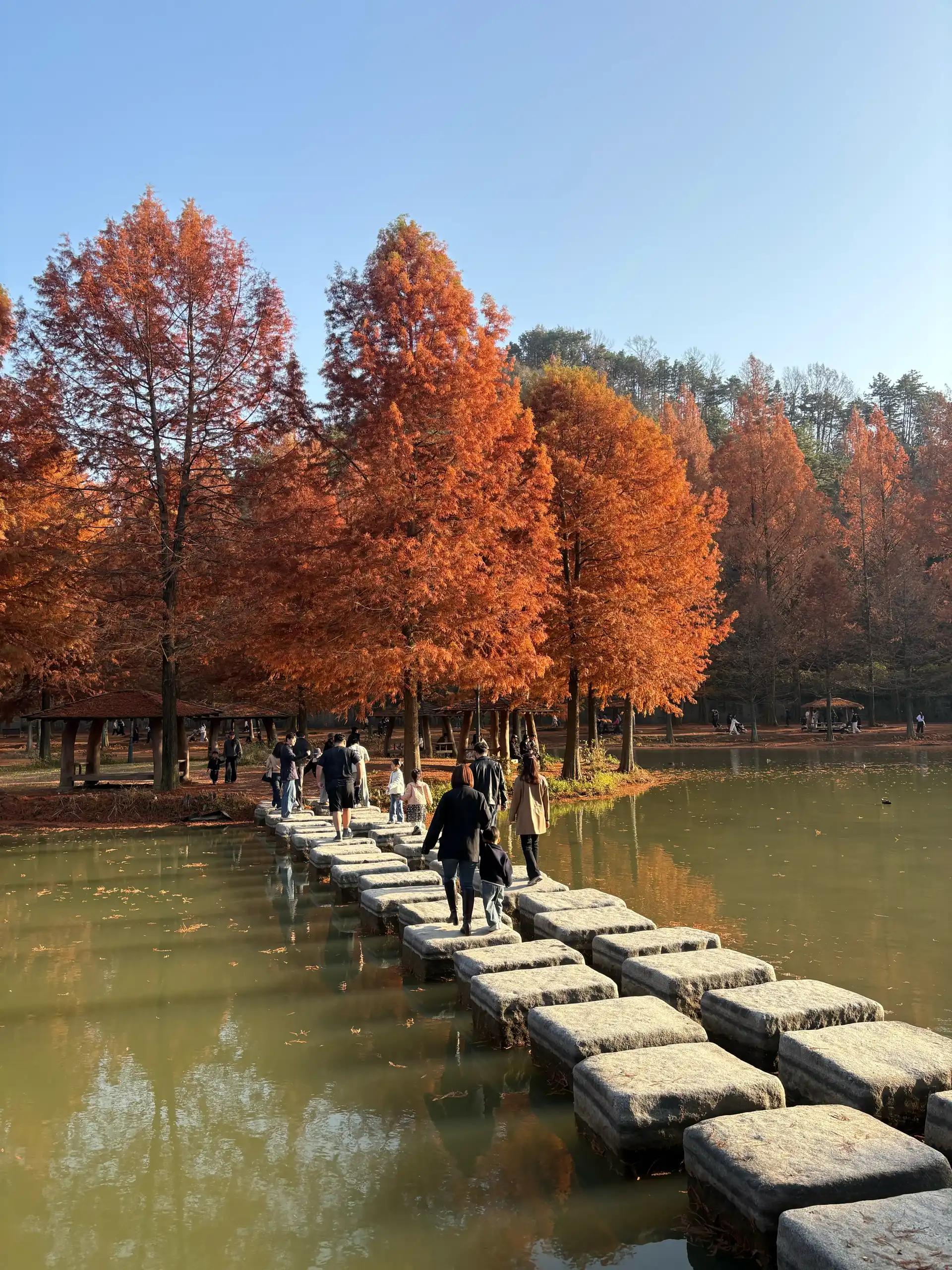 크루톡 이미지 6