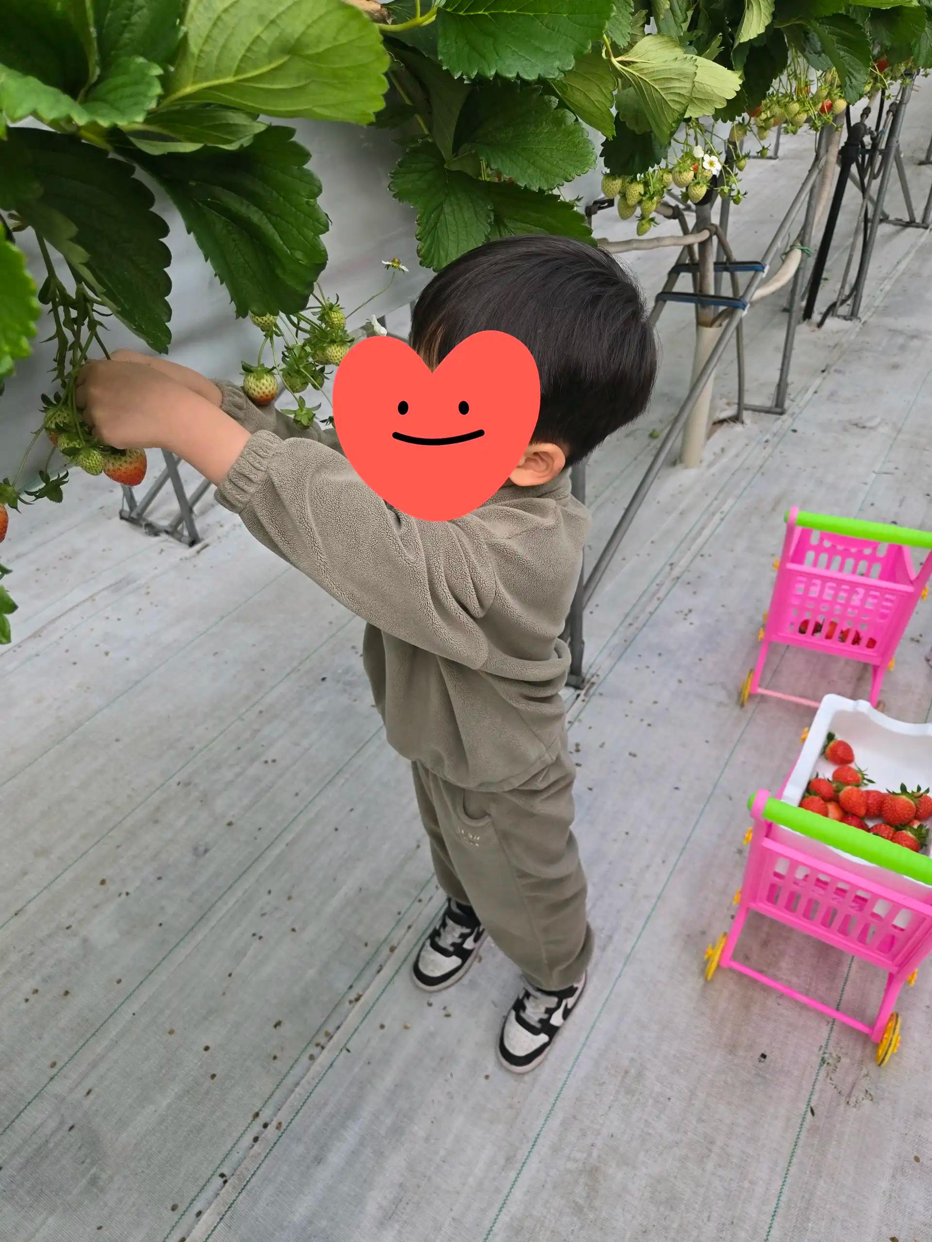 크루톡 이미지 2