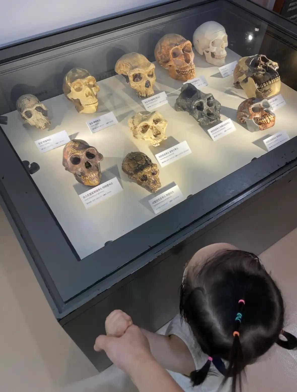 크루톡 이미지 2