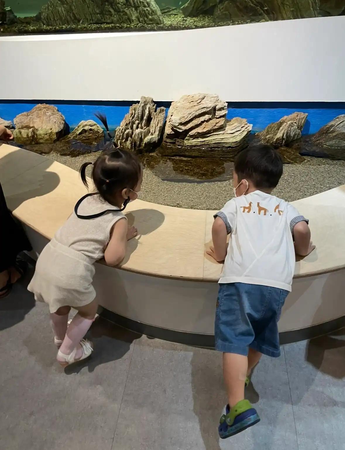 크루톡 이미지 3