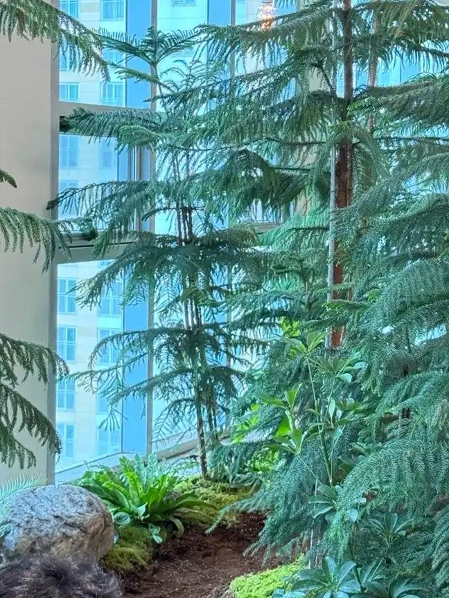 크루톡 이미지 2