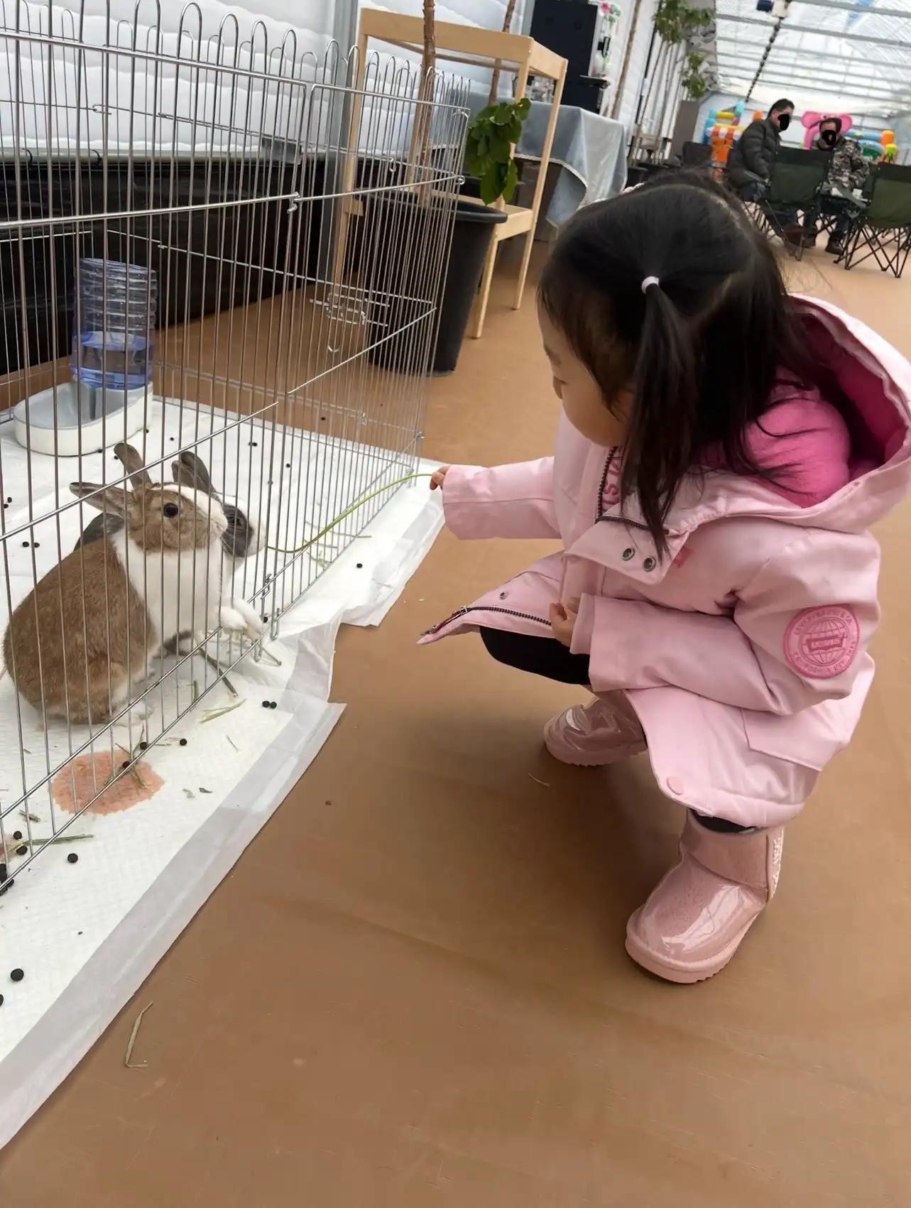 크루톡 이미지 2