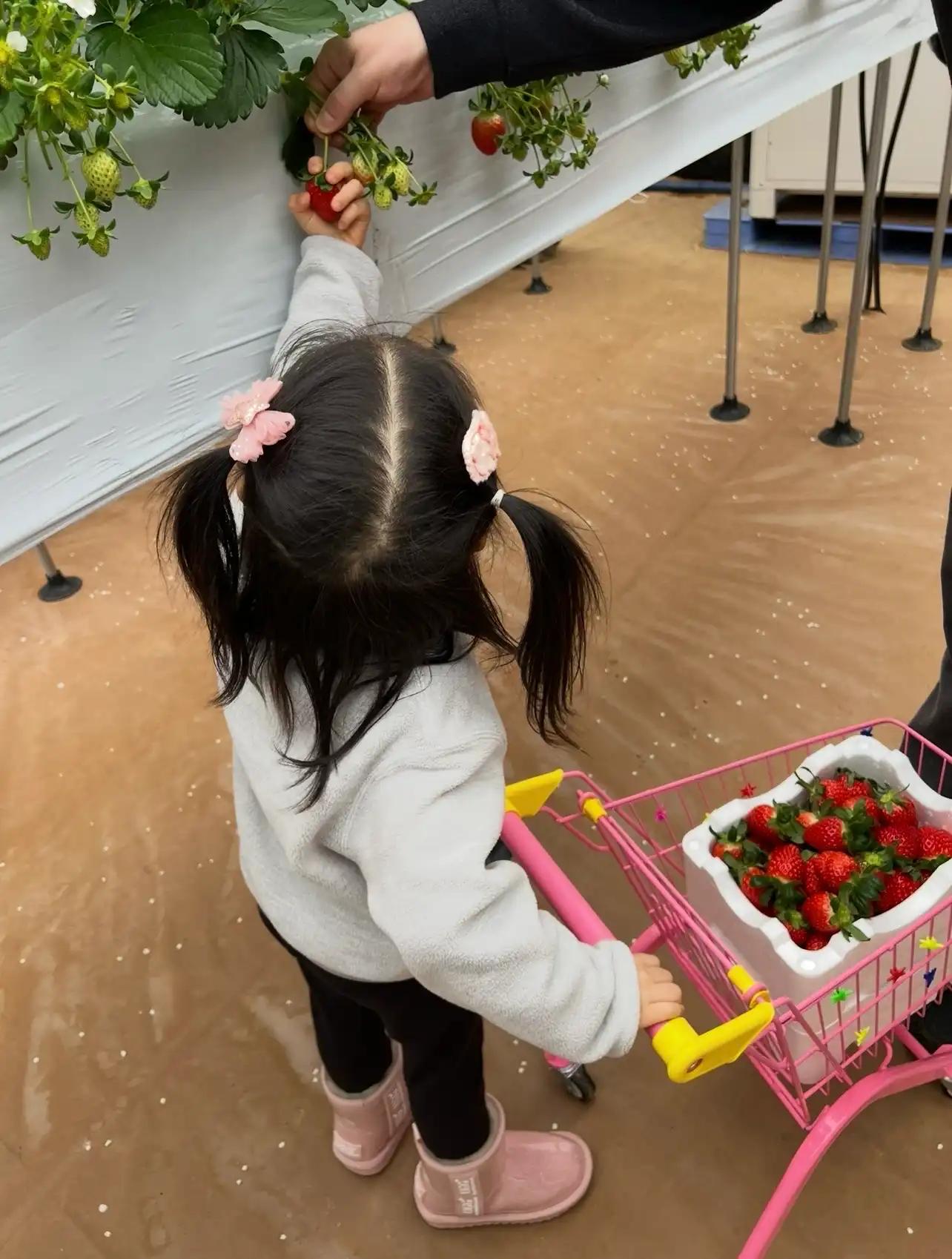 크루톡 이미지 4