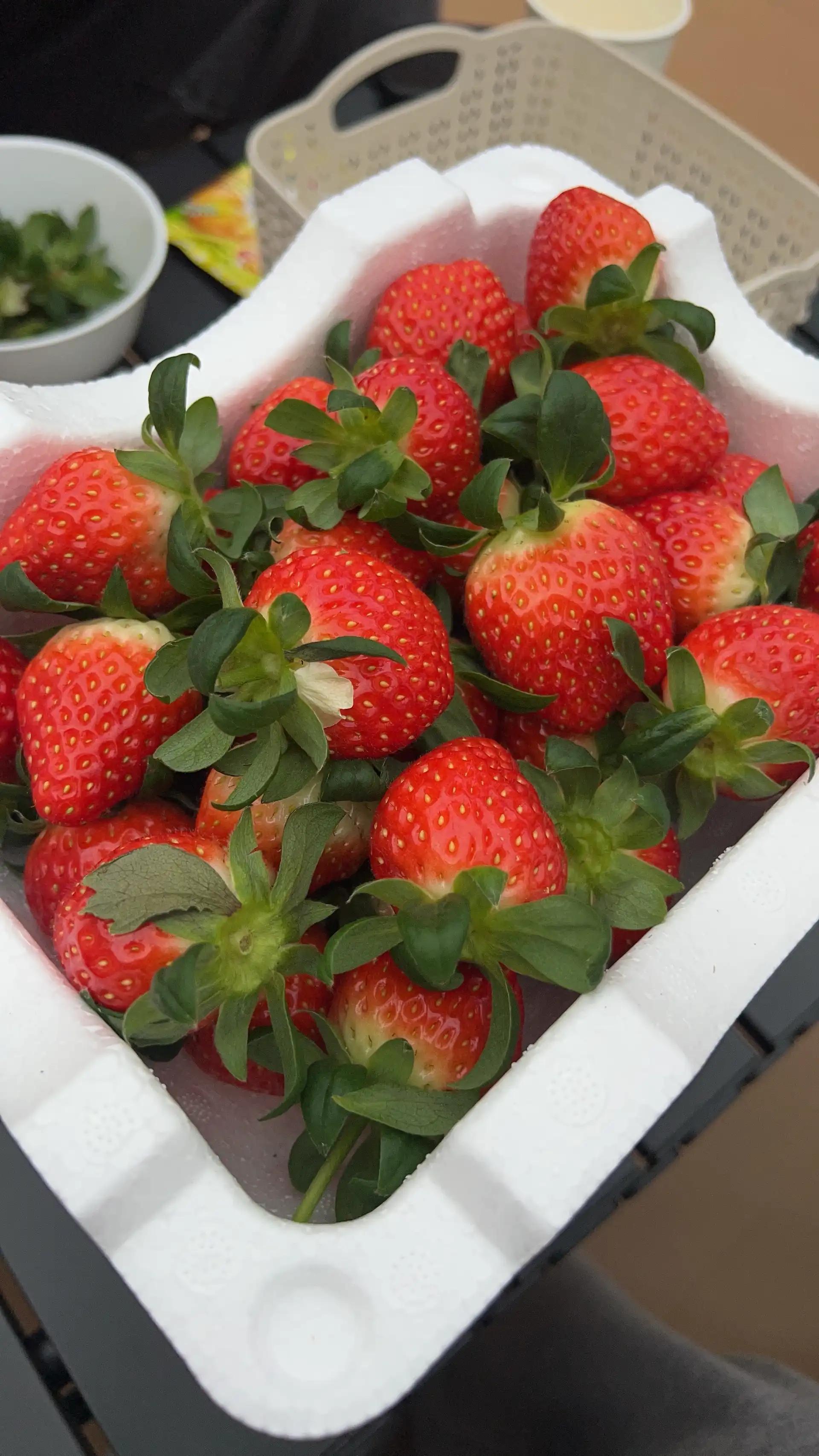 크루톡 이미지 5