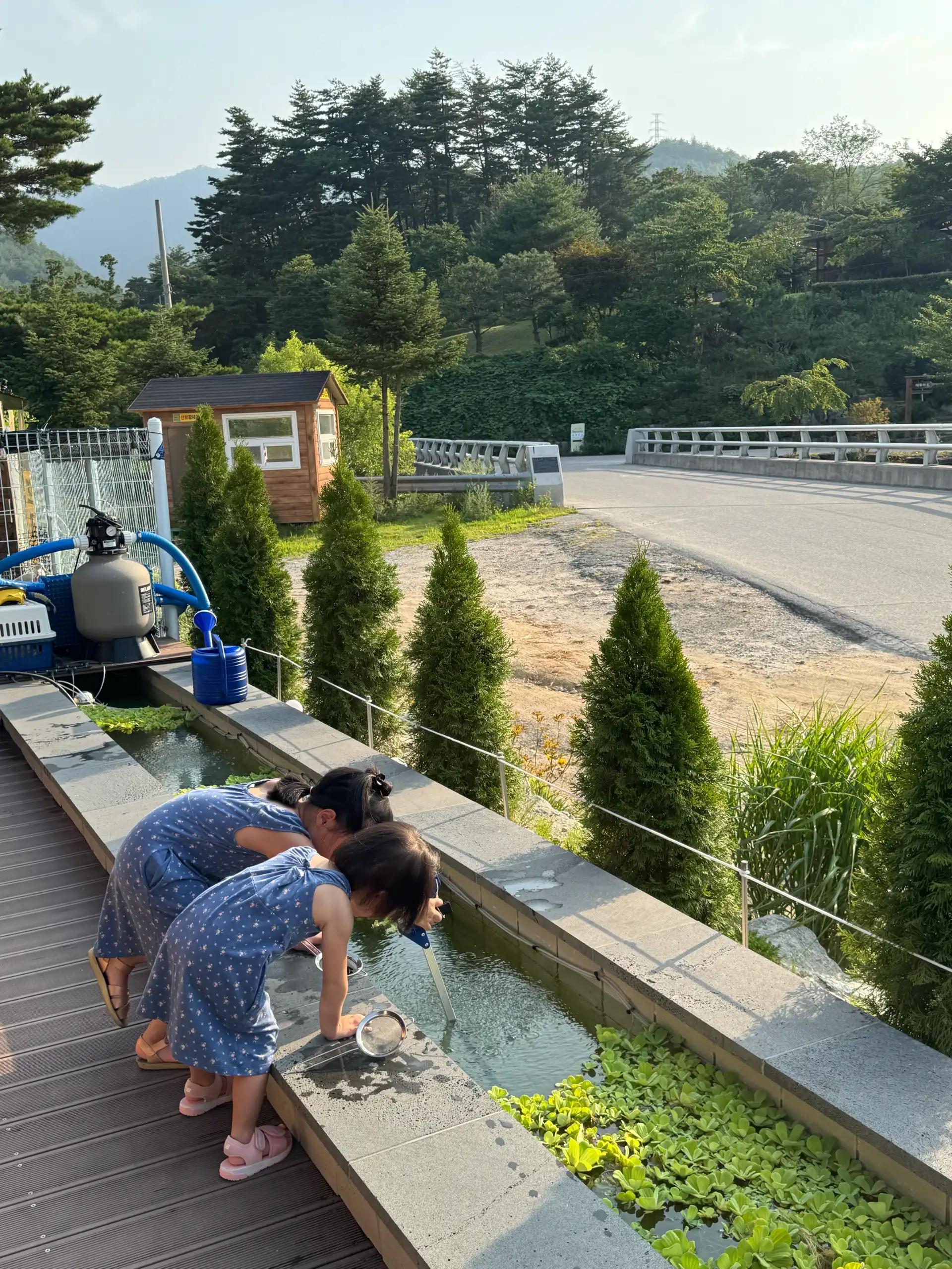 크루톡 이미지 2