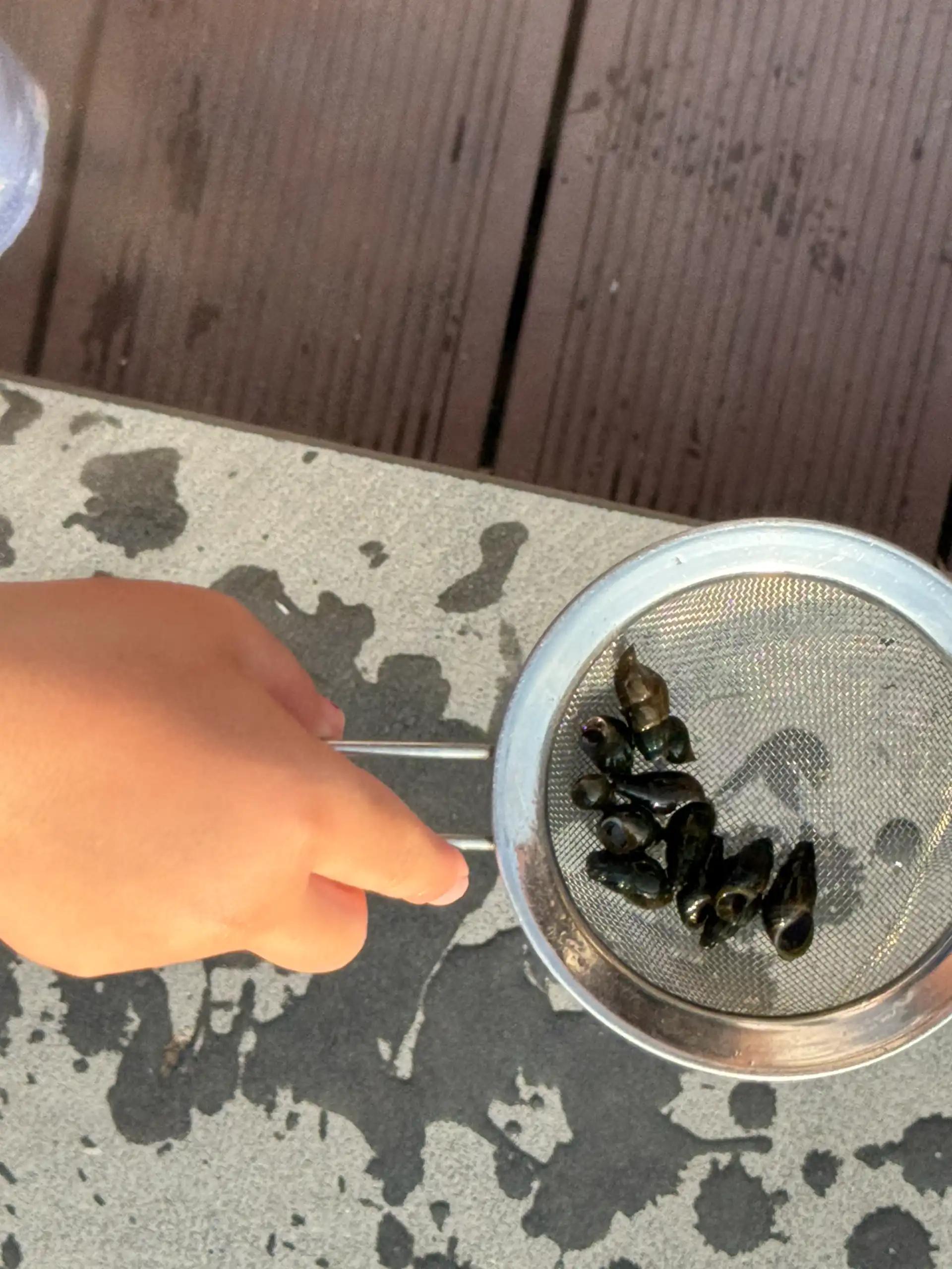 크루톡 이미지 3