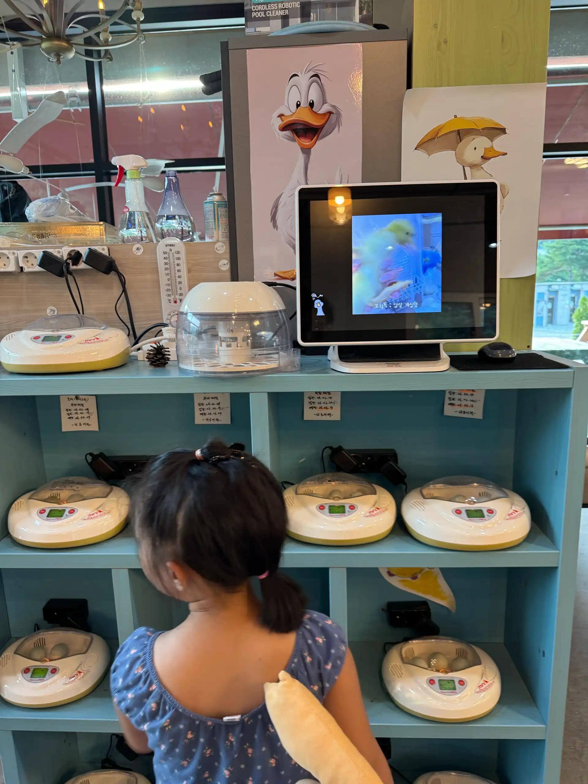 크루톡 이미지 6