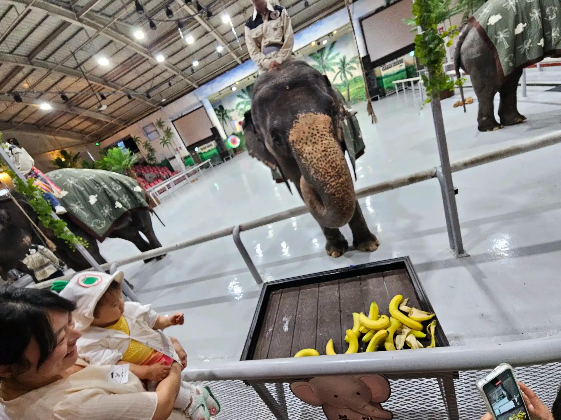 크루톡 이미지 2