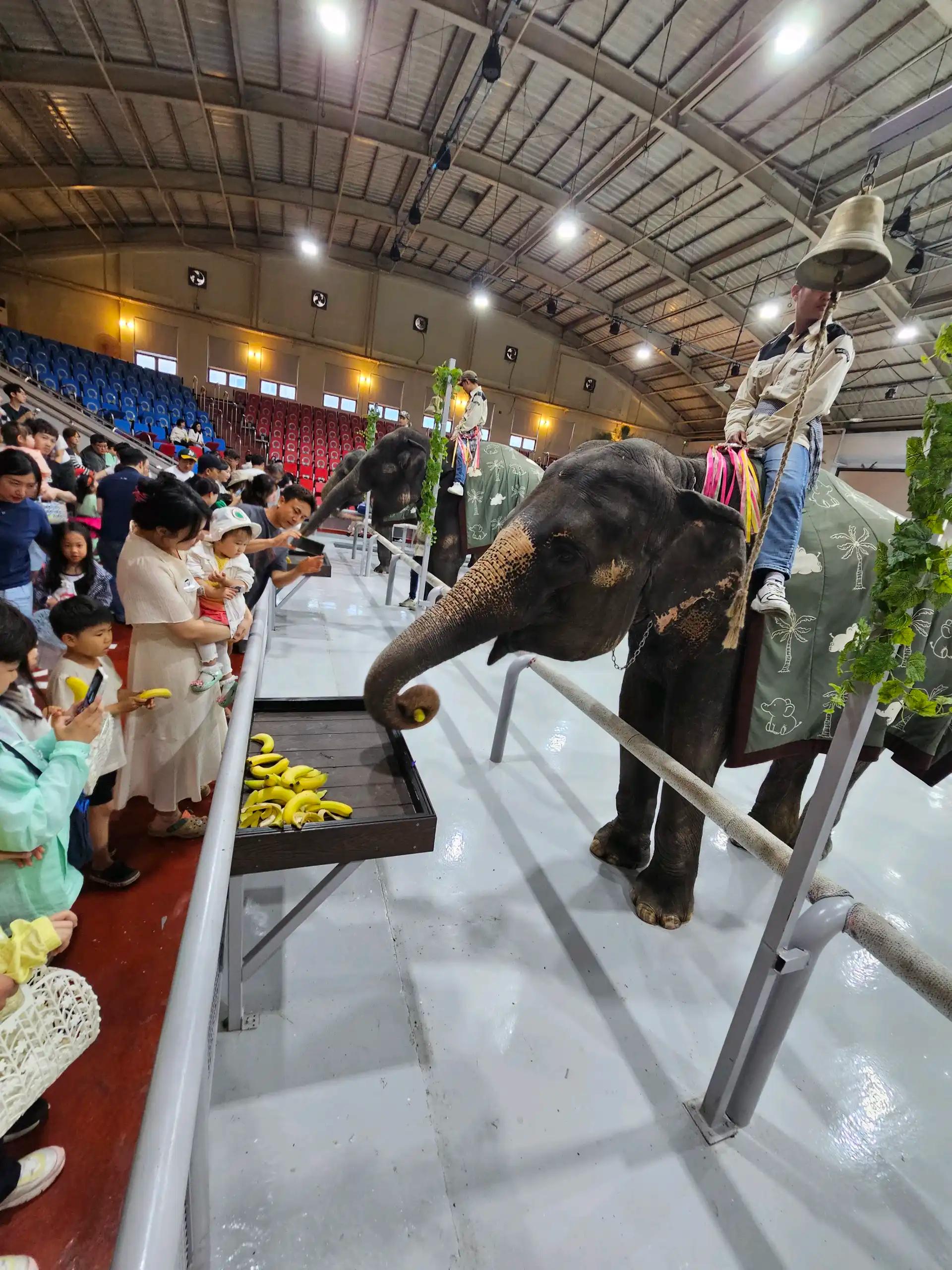 크루톡 이미지 4