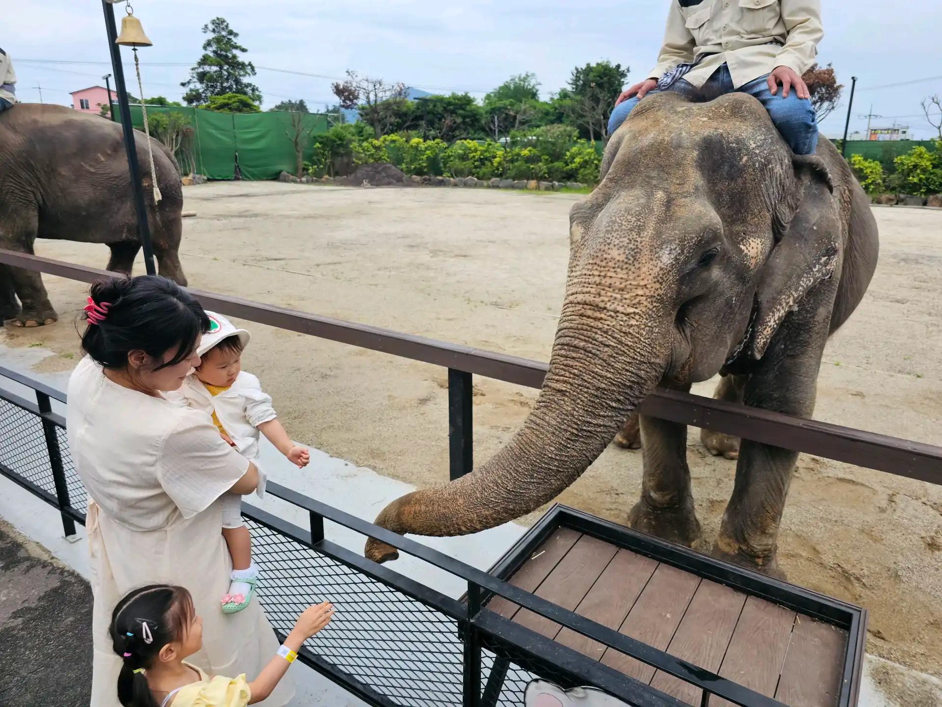 크루톡 이미지 5