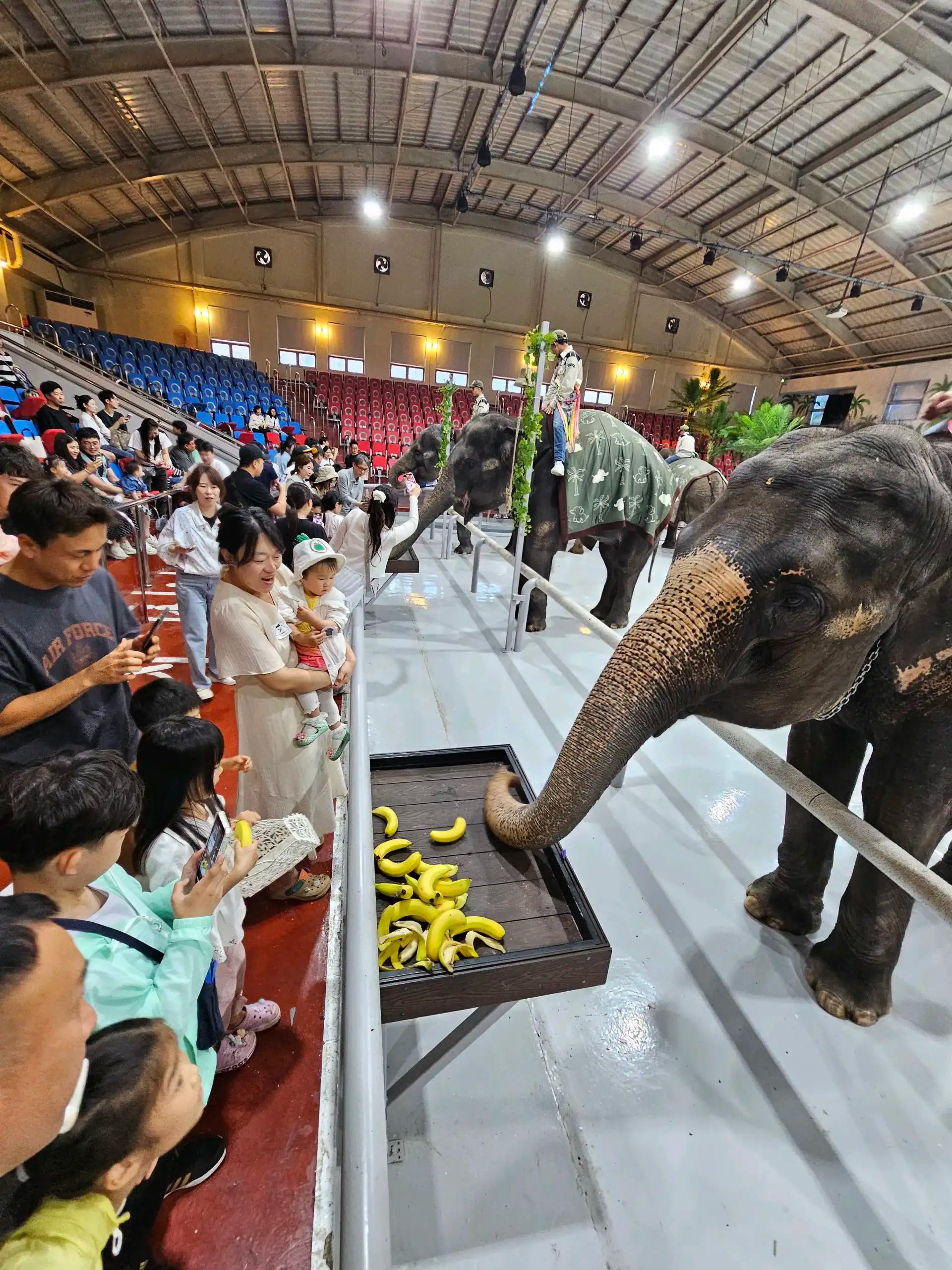 크루톡 이미지 6